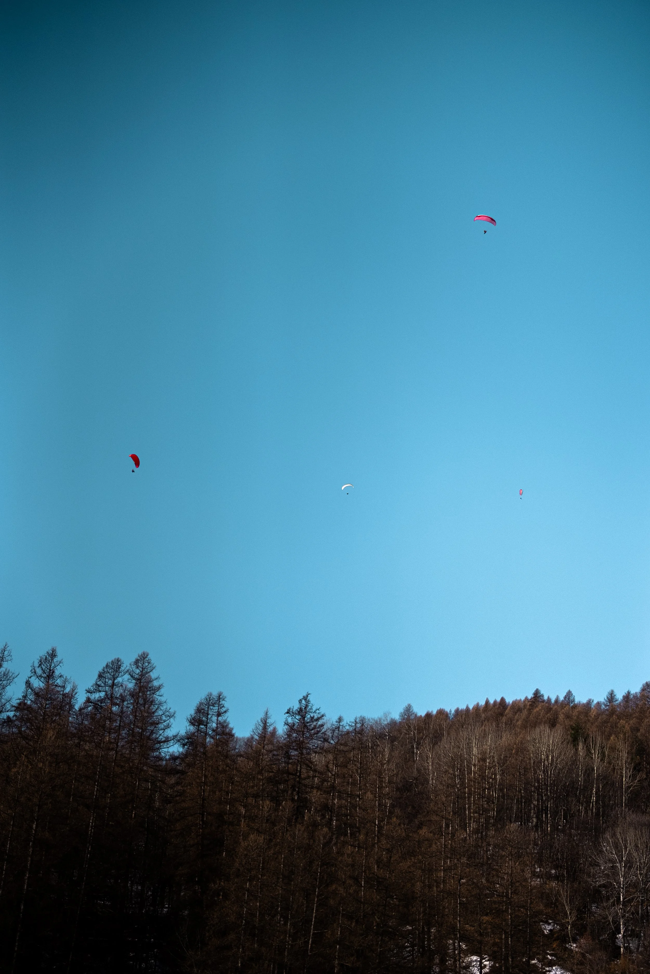 Testivol de Pelvoux 2026 - Léo THOMAS - 119.JPG