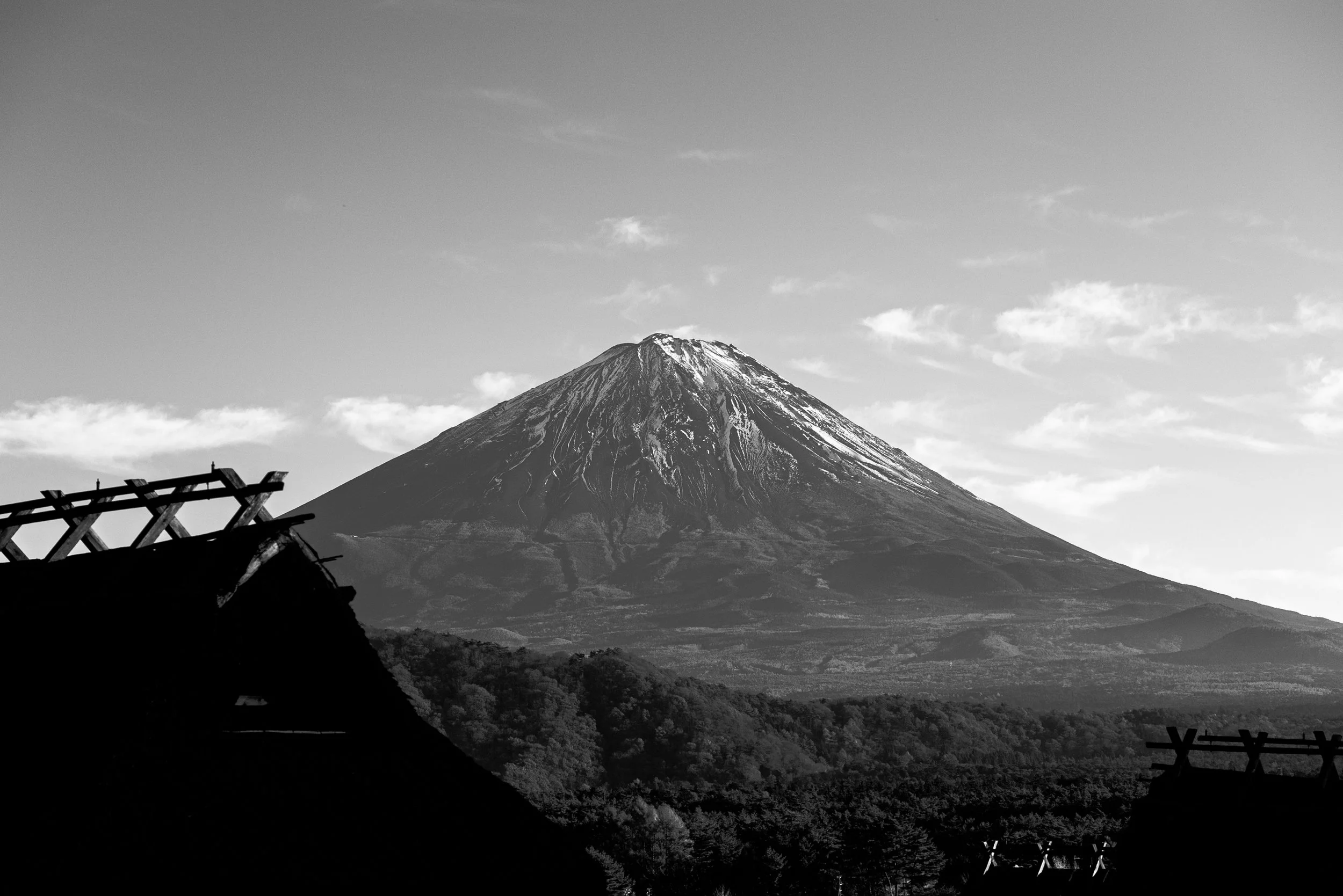 Mont Fuji avec quelques nuages dans le ciel et un paysage forestier en premier plan, en noir et blanc.