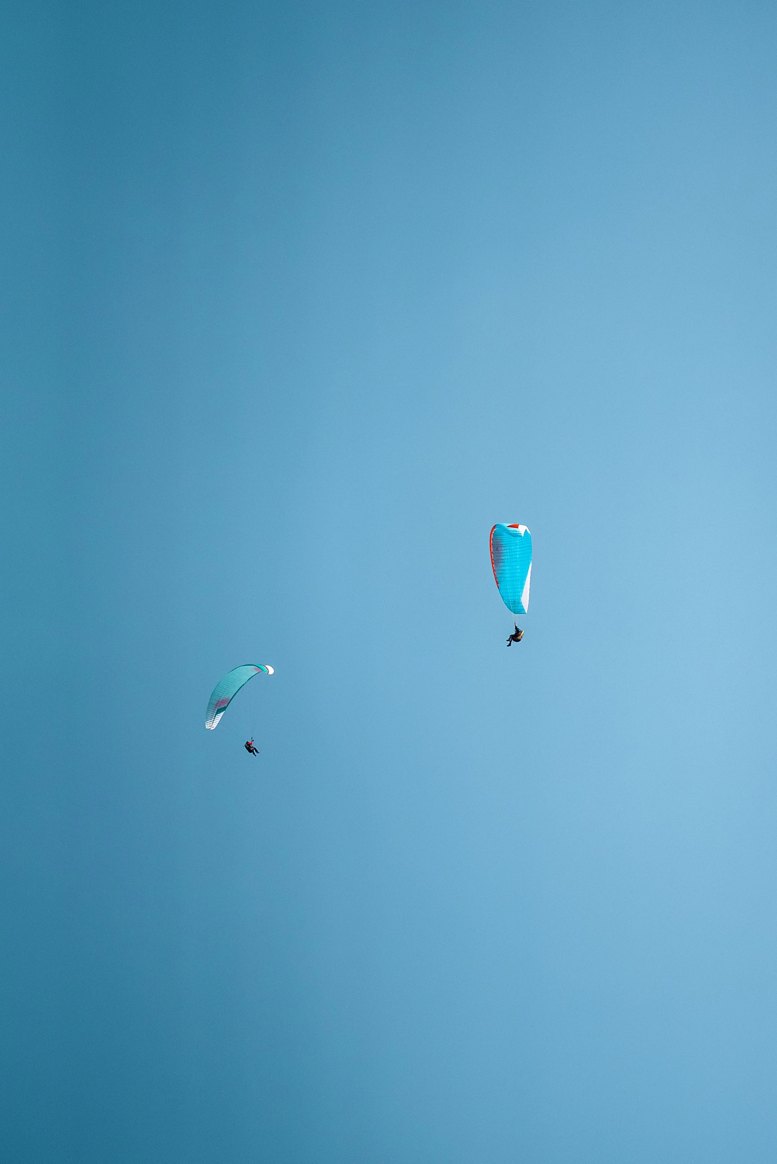 Testivol de Pelvoux 2026 - Léo THOMAS - 86.JPG