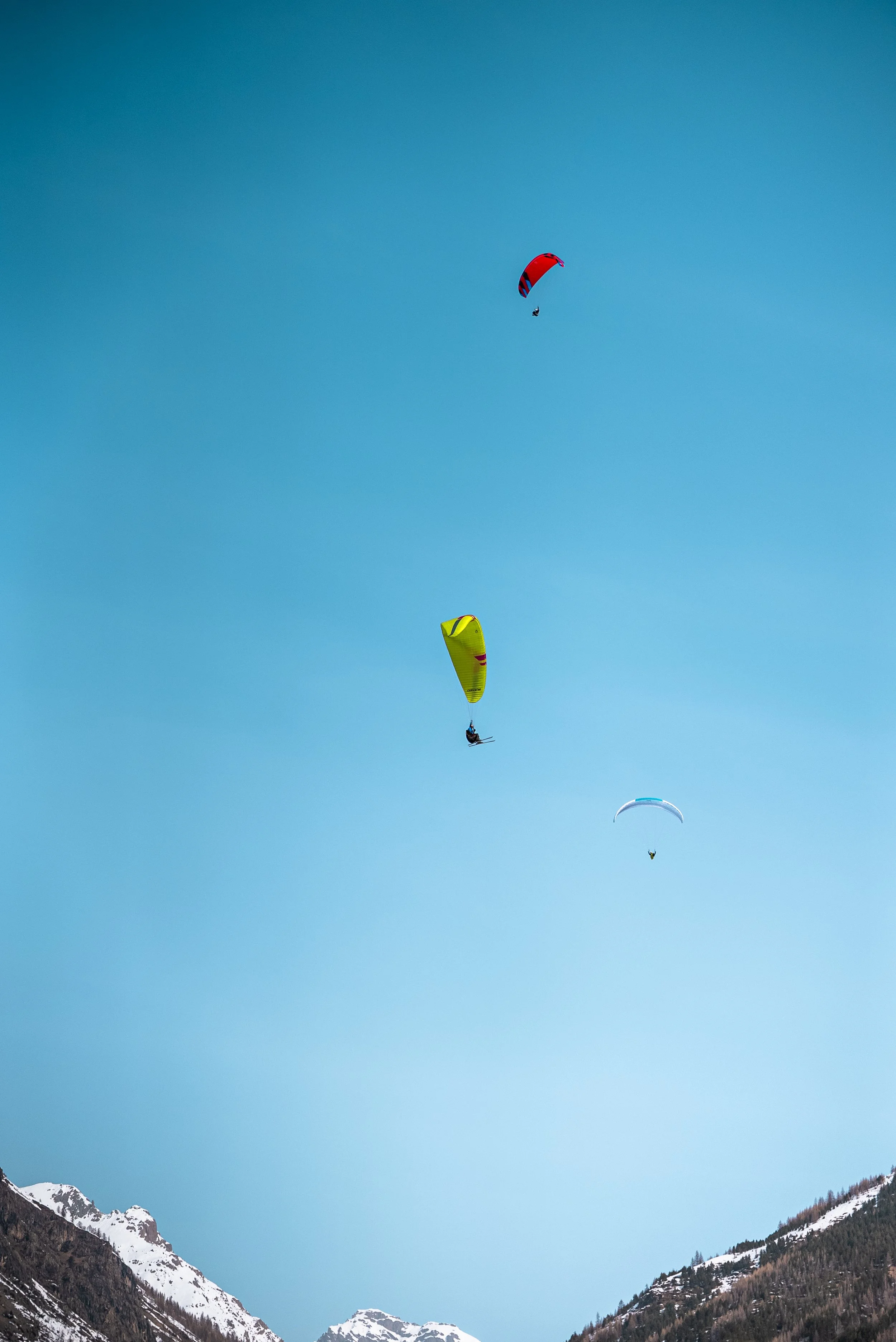 Testivol de Pelvoux 2026 - Léo THOMAS - 50.JPG