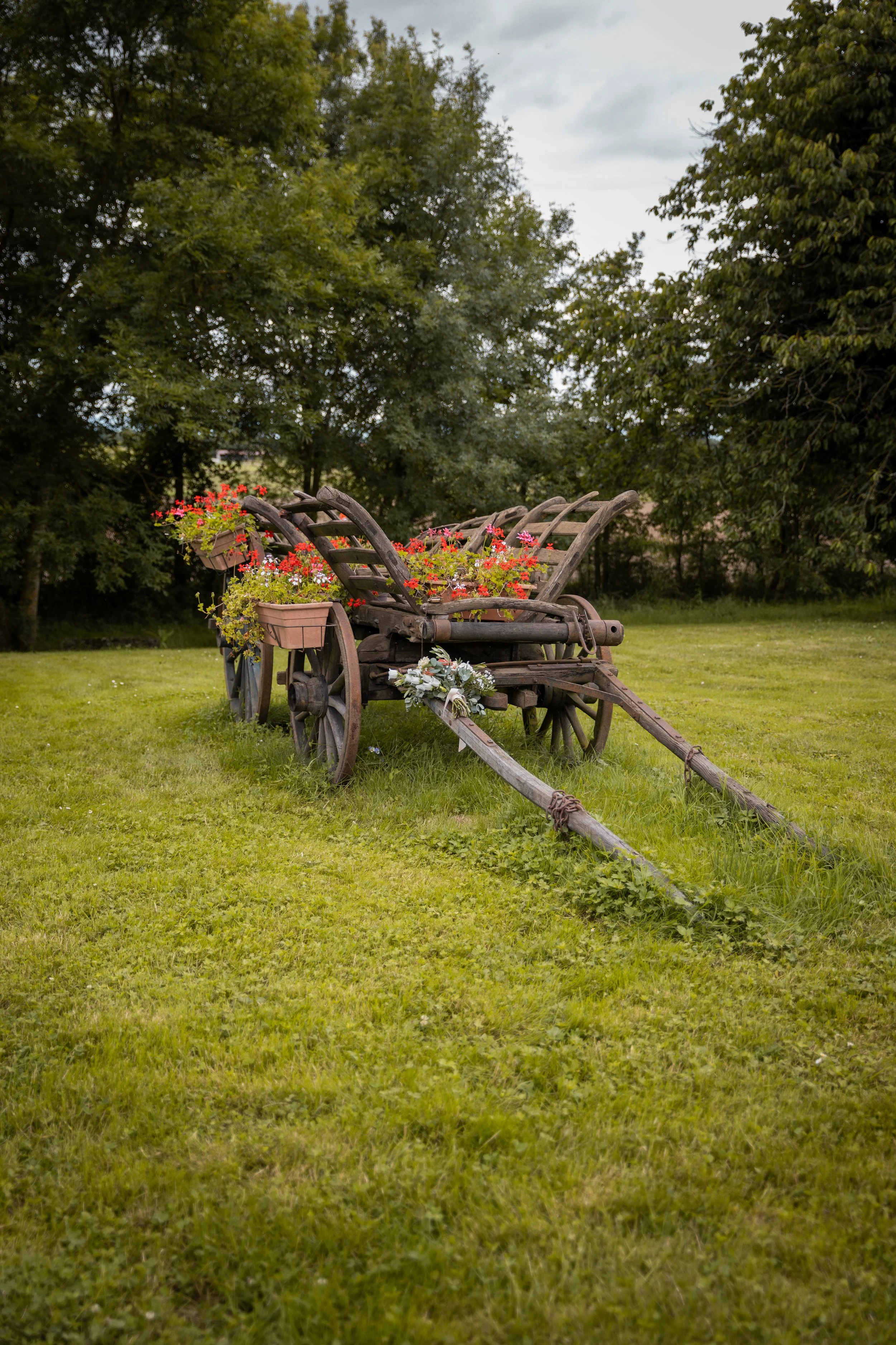 Un vieux chariot en bois, converti en jardinière, rempli de fleurs colorées, situé dans un jardin greenery.