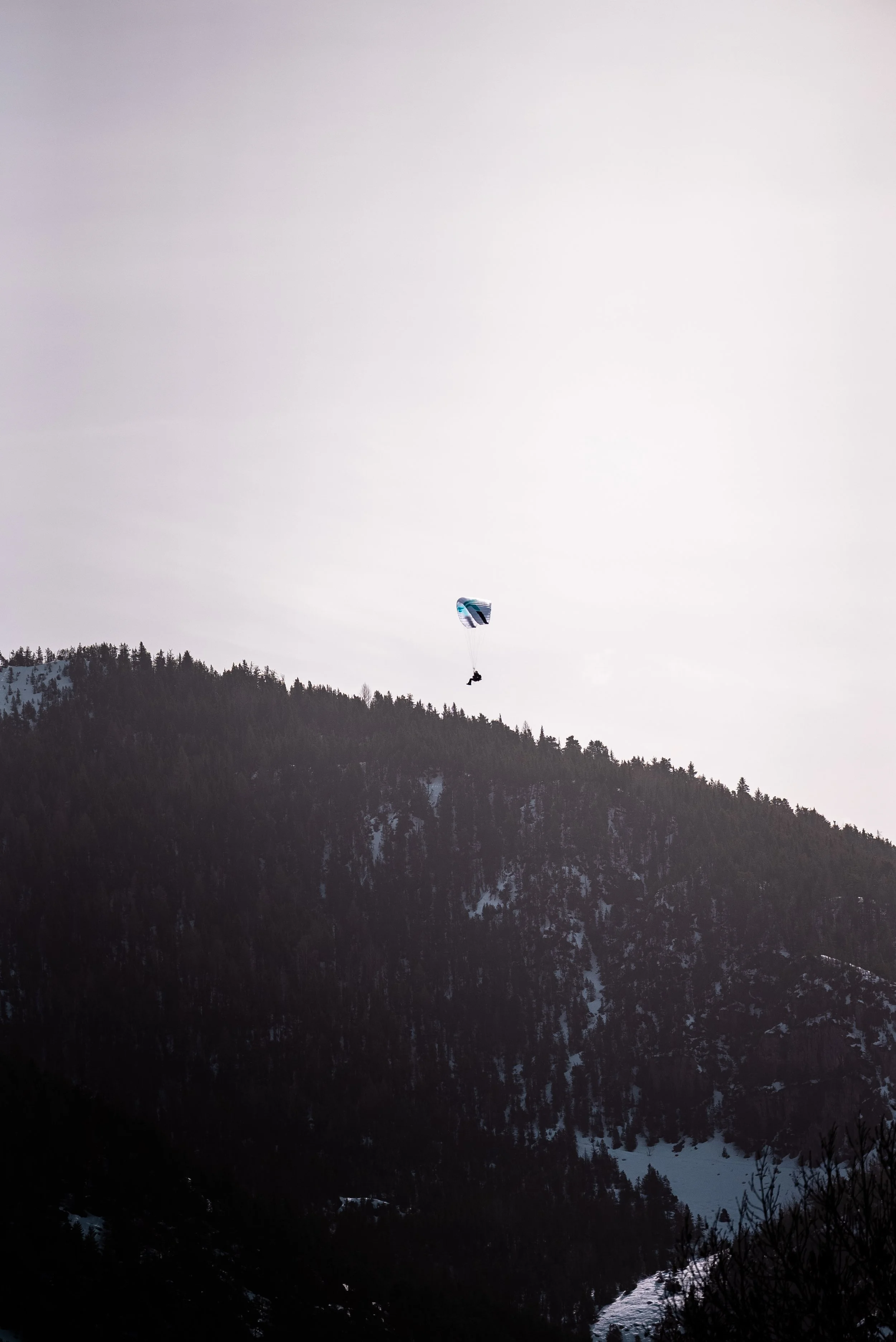 Testivol de Pelvoux 2026 - Léo THOMAS - 83.JPG