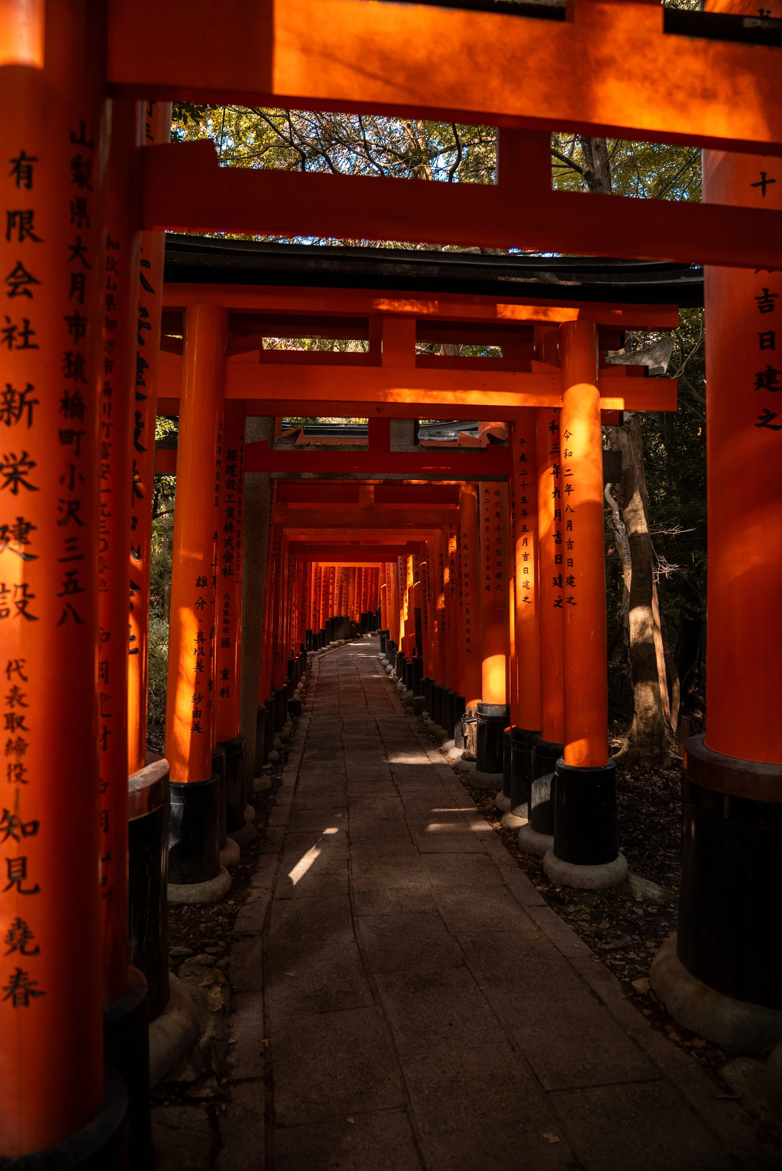 Allée bordée de plusieurs torii rouges avec des inscriptions en japonais, menant vers un sanctuaire, avec des arbres en arrière-plan.