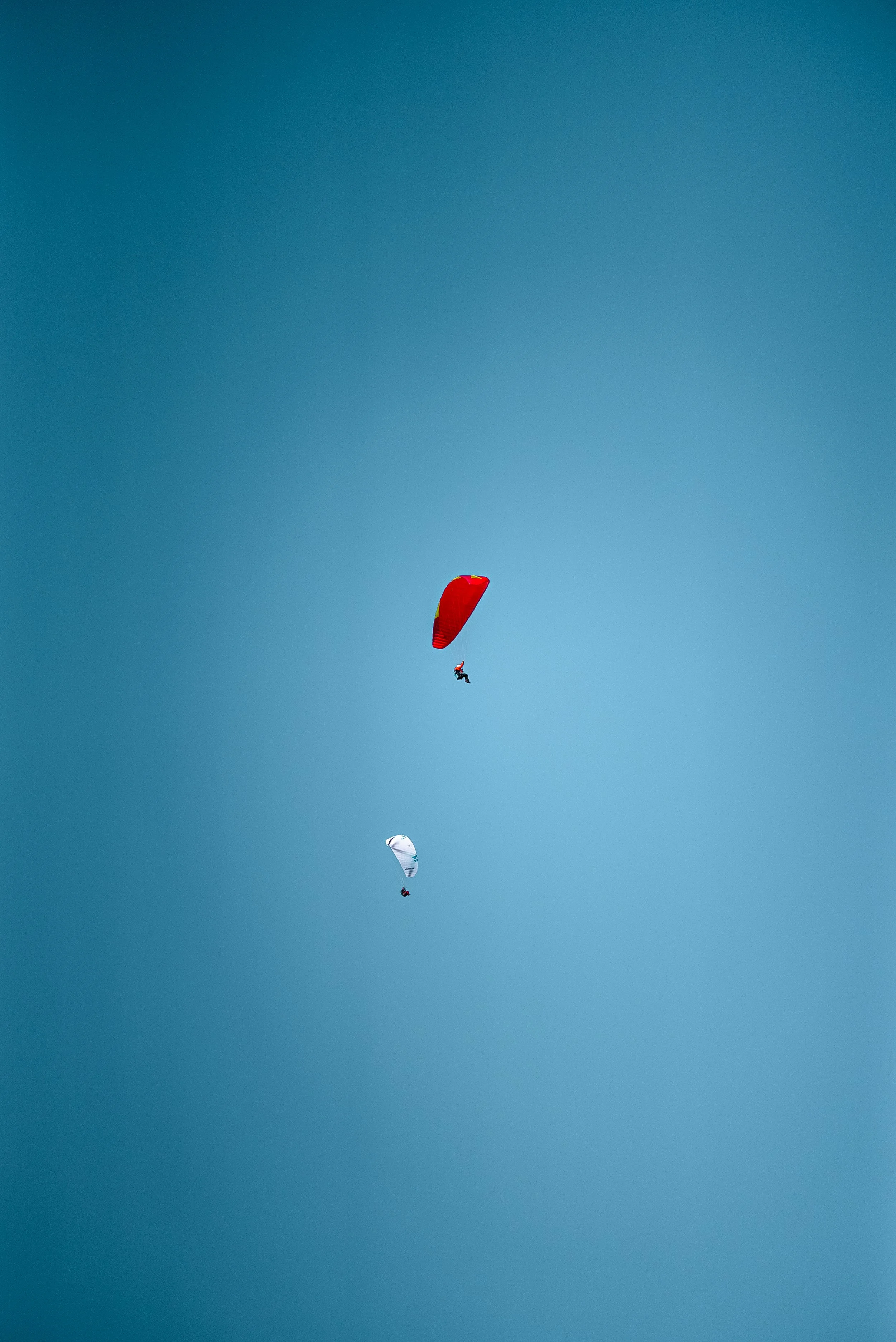 Testivol de Pelvoux 2026 - Léo THOMAS - 120.JPG