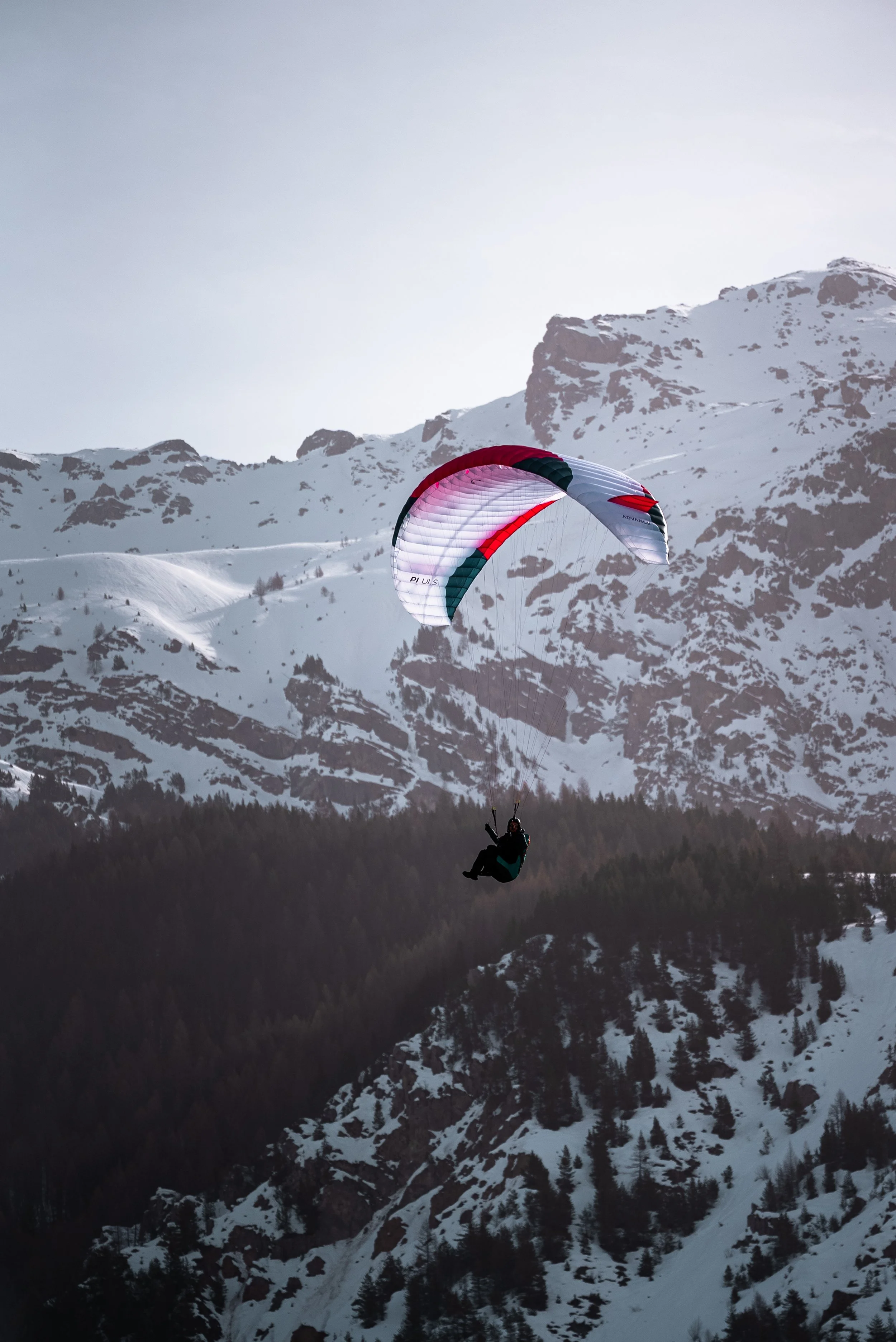 Testivol de Pelvoux 2026 - Léo THOMAS - 15.JPG