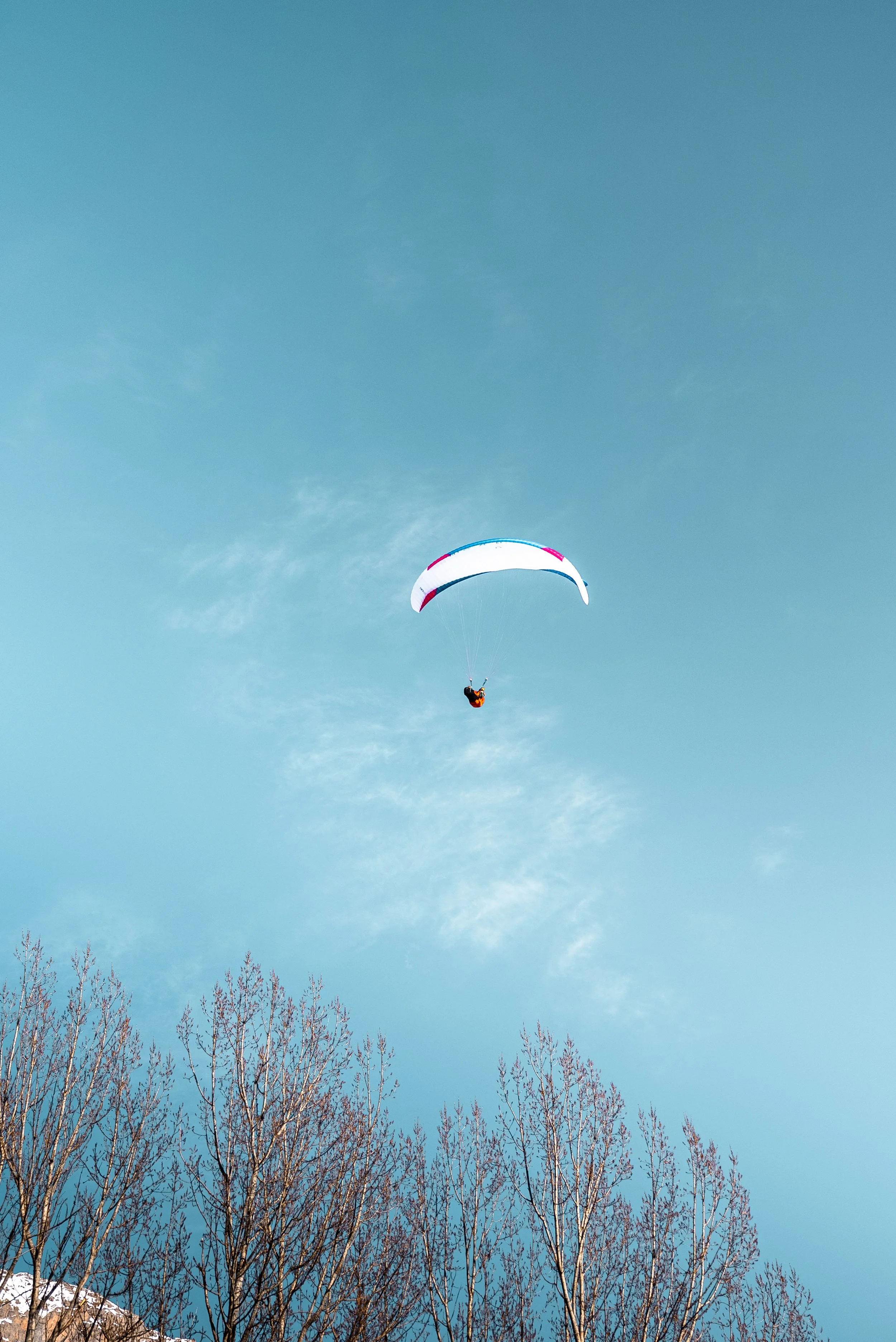 Testivol de Pelvoux 2026 - Léo THOMAS - 282.JPG