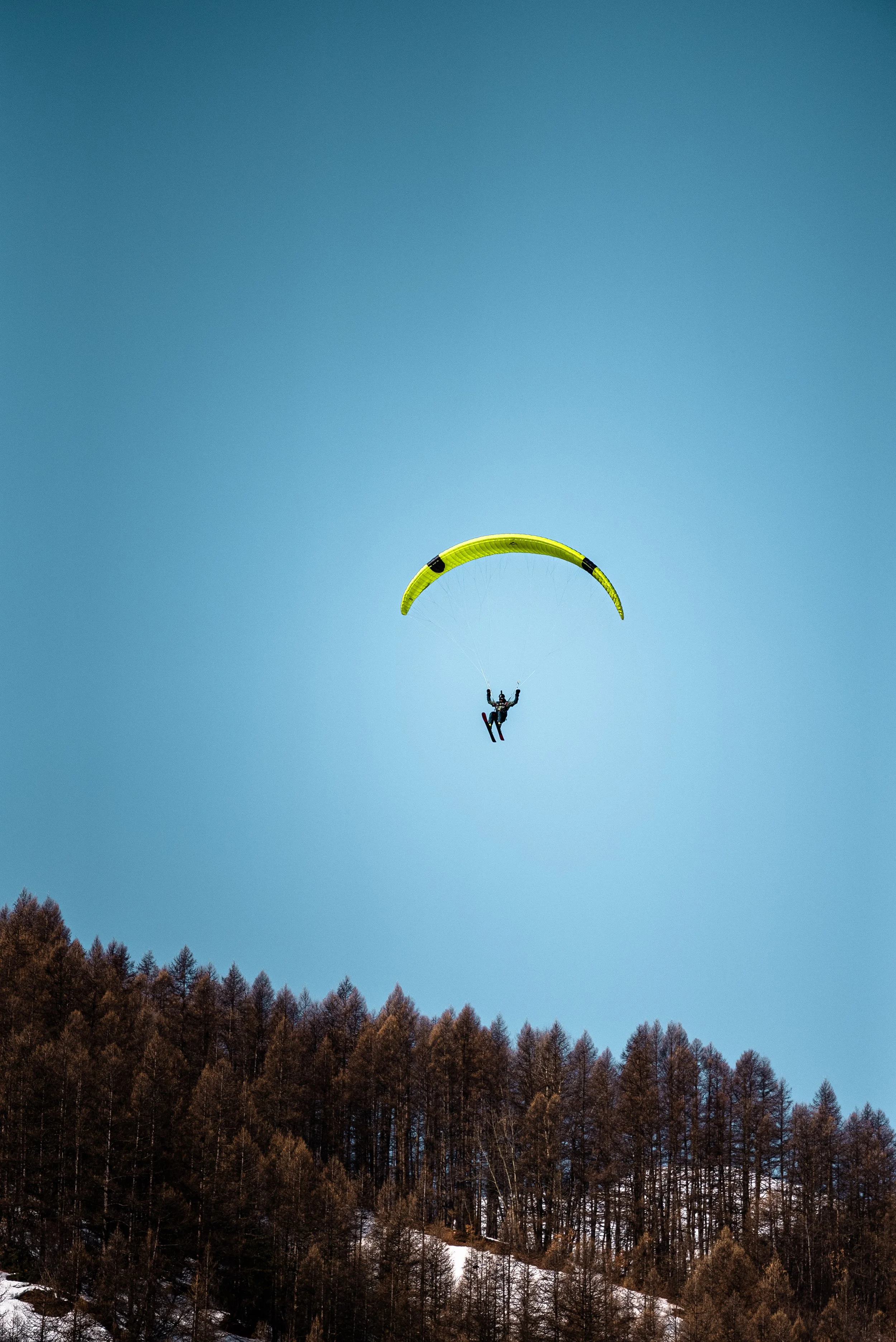 Testivol de Pelvoux 2026 - Léo THOMAS - 156.JPG