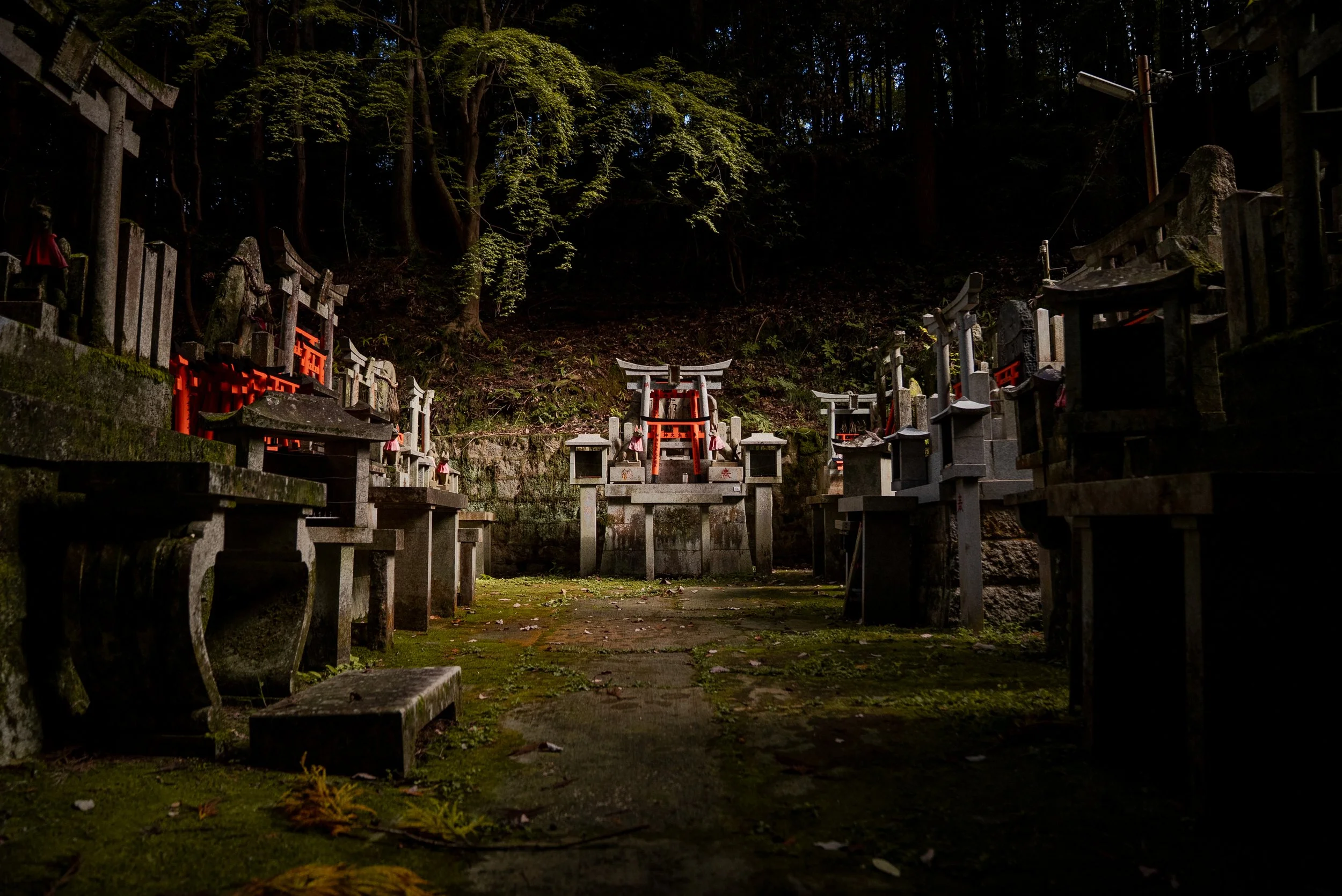 Un endroit sombre avec des petites statues de pierre et des torii japonais rouges, entouré par des arbres, ressemblant à un sanctuaire shinto dans une forêt