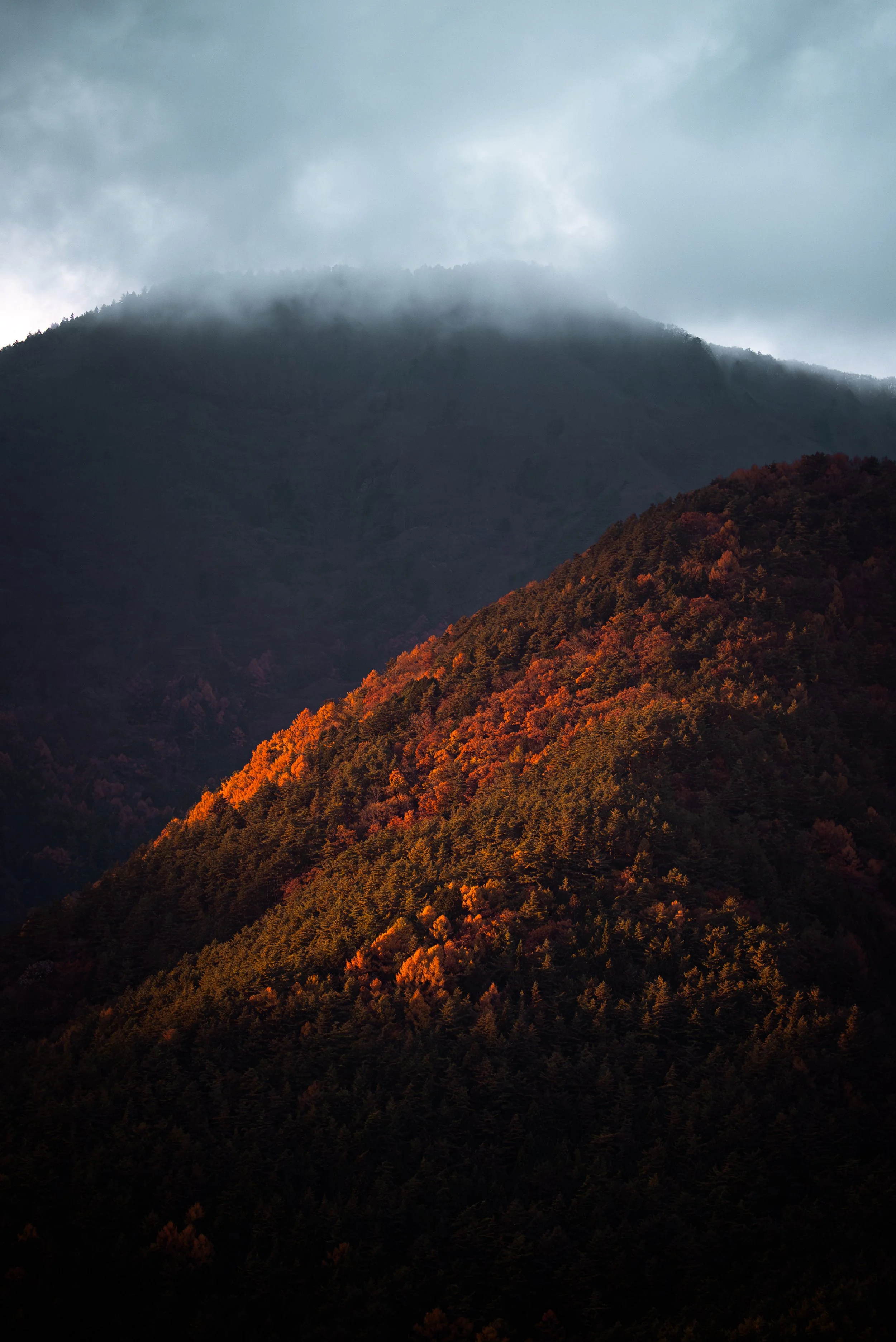 Montagnes avec forêts d'automne, nuages et brouillard