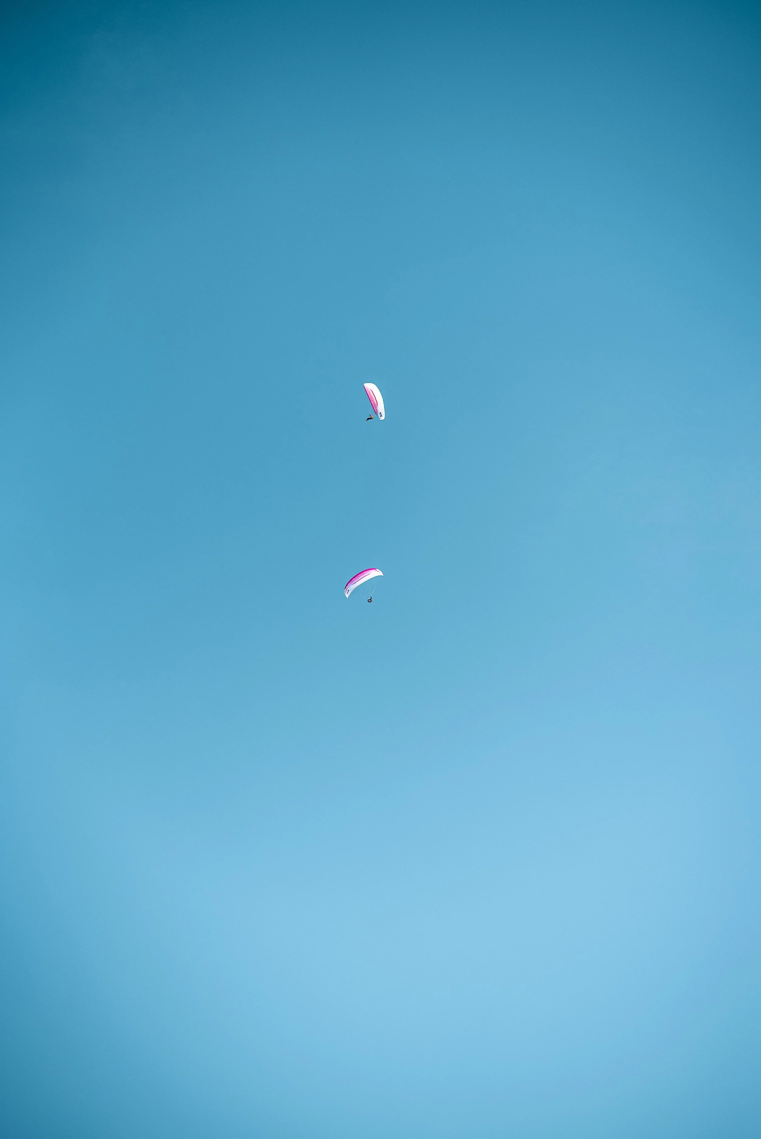 Testivol de Pelvoux 2026 - Léo THOMAS - 234.JPG