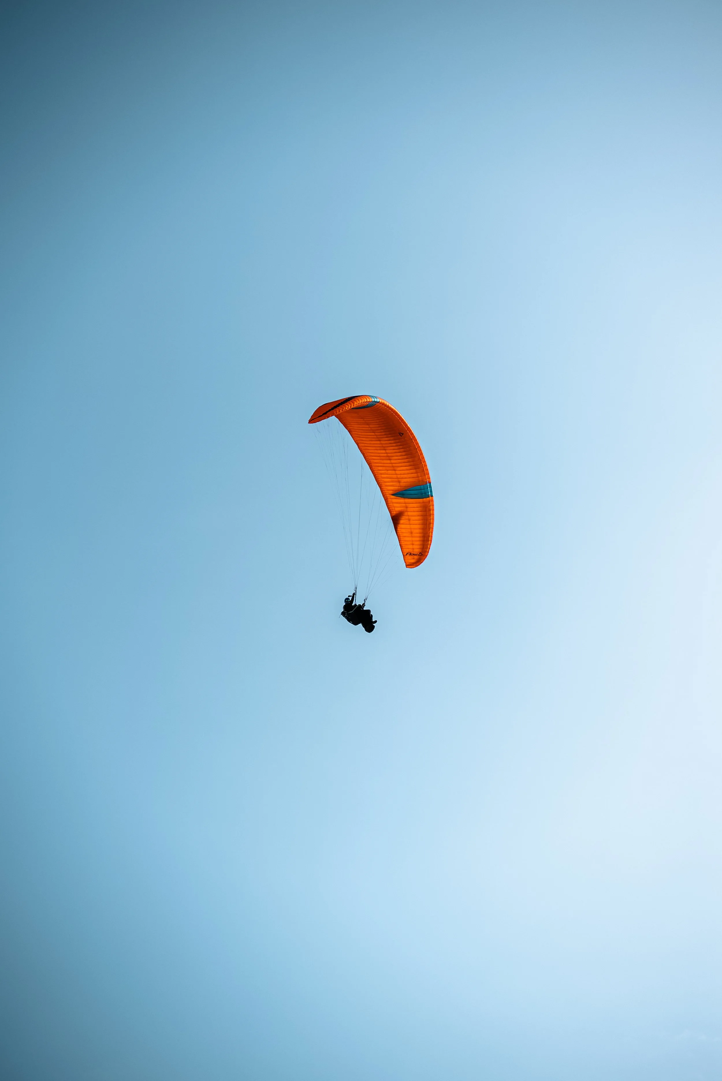 Testivol de Pelvoux 2026 - Léo THOMAS - 233.JPG