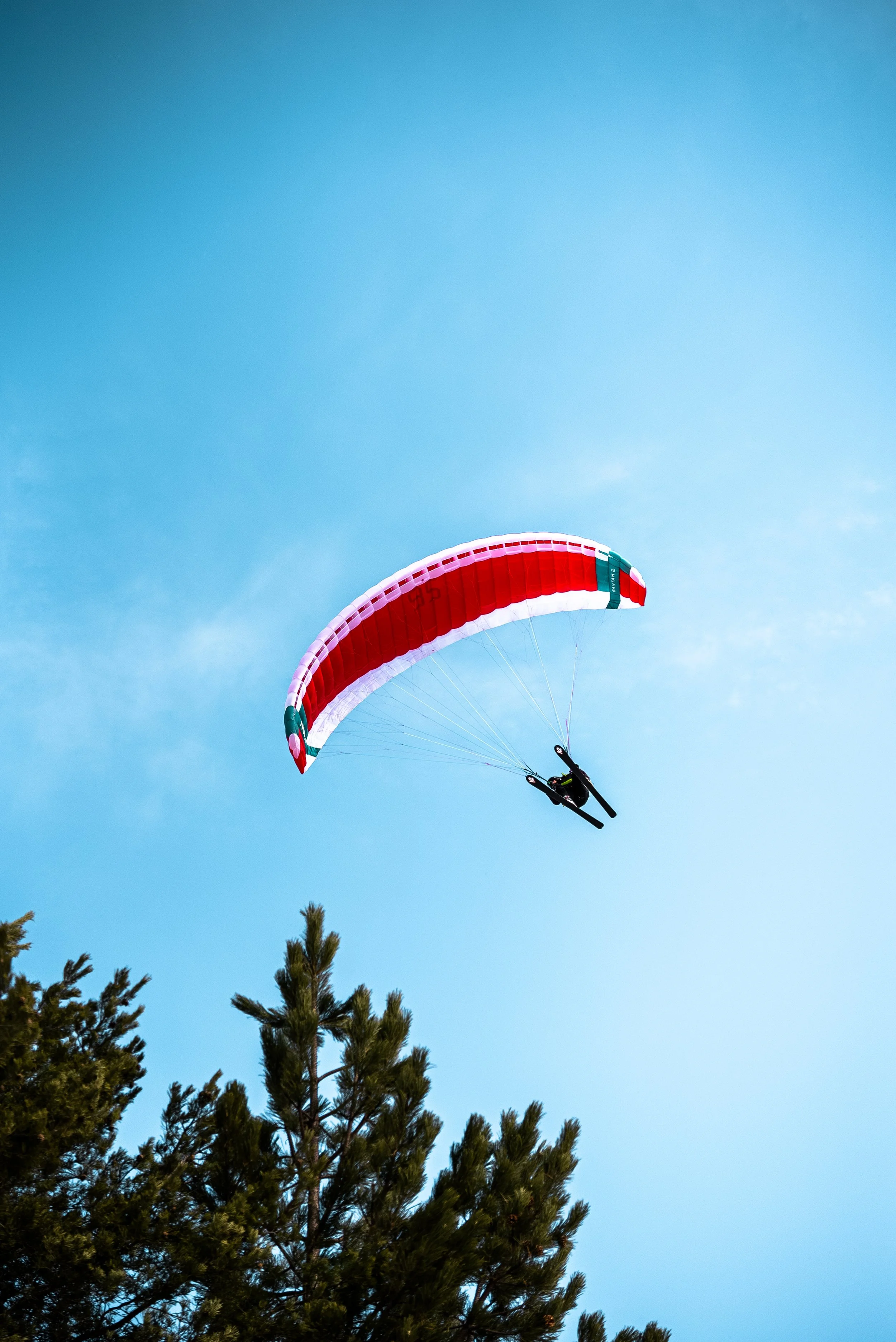 Testivol de Pelvoux 2026 - Léo THOMAS - 242.JPG