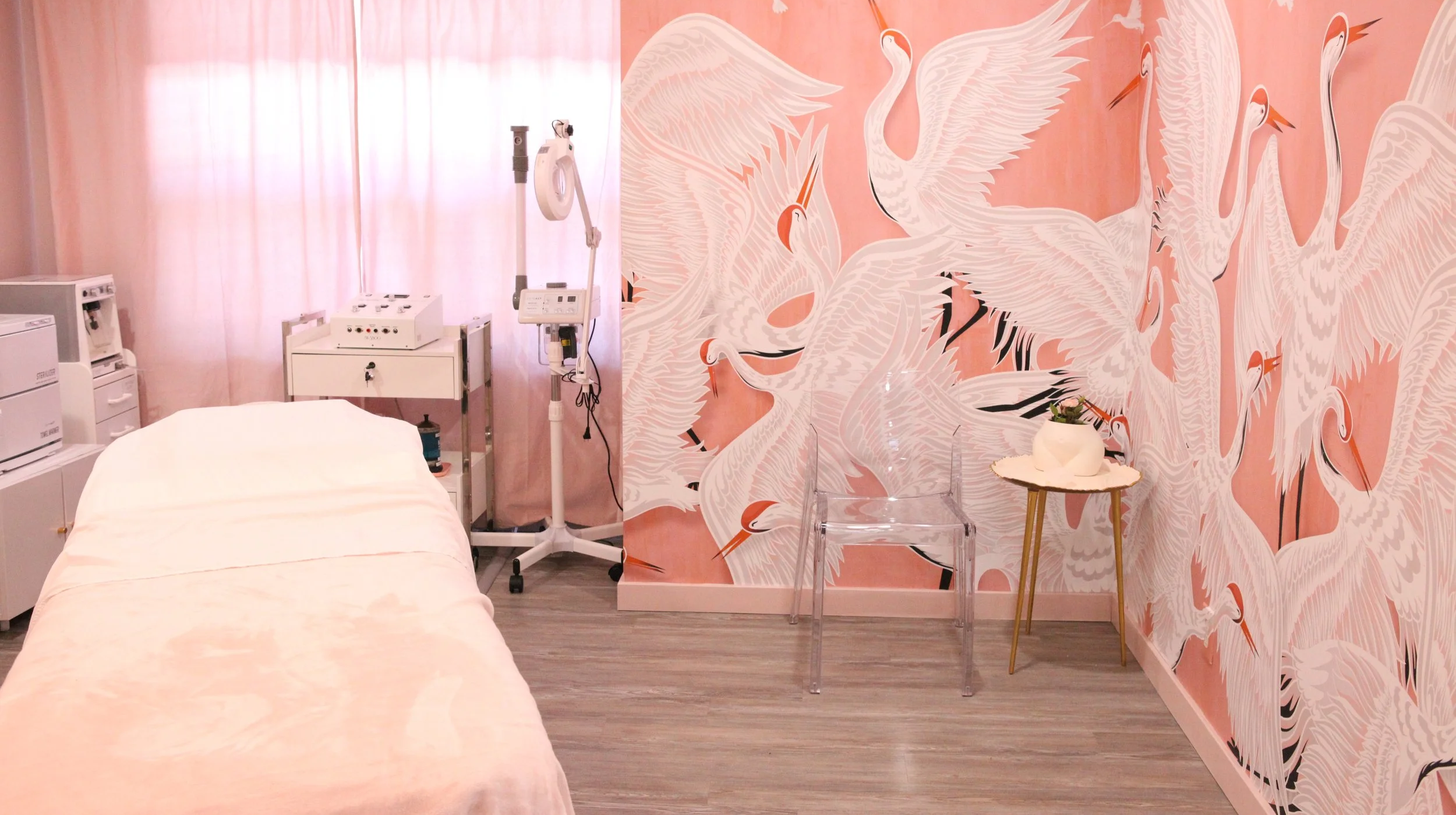 Facial treatment room at Elevated Wellness featuring blush crane mural and esthetics equipment