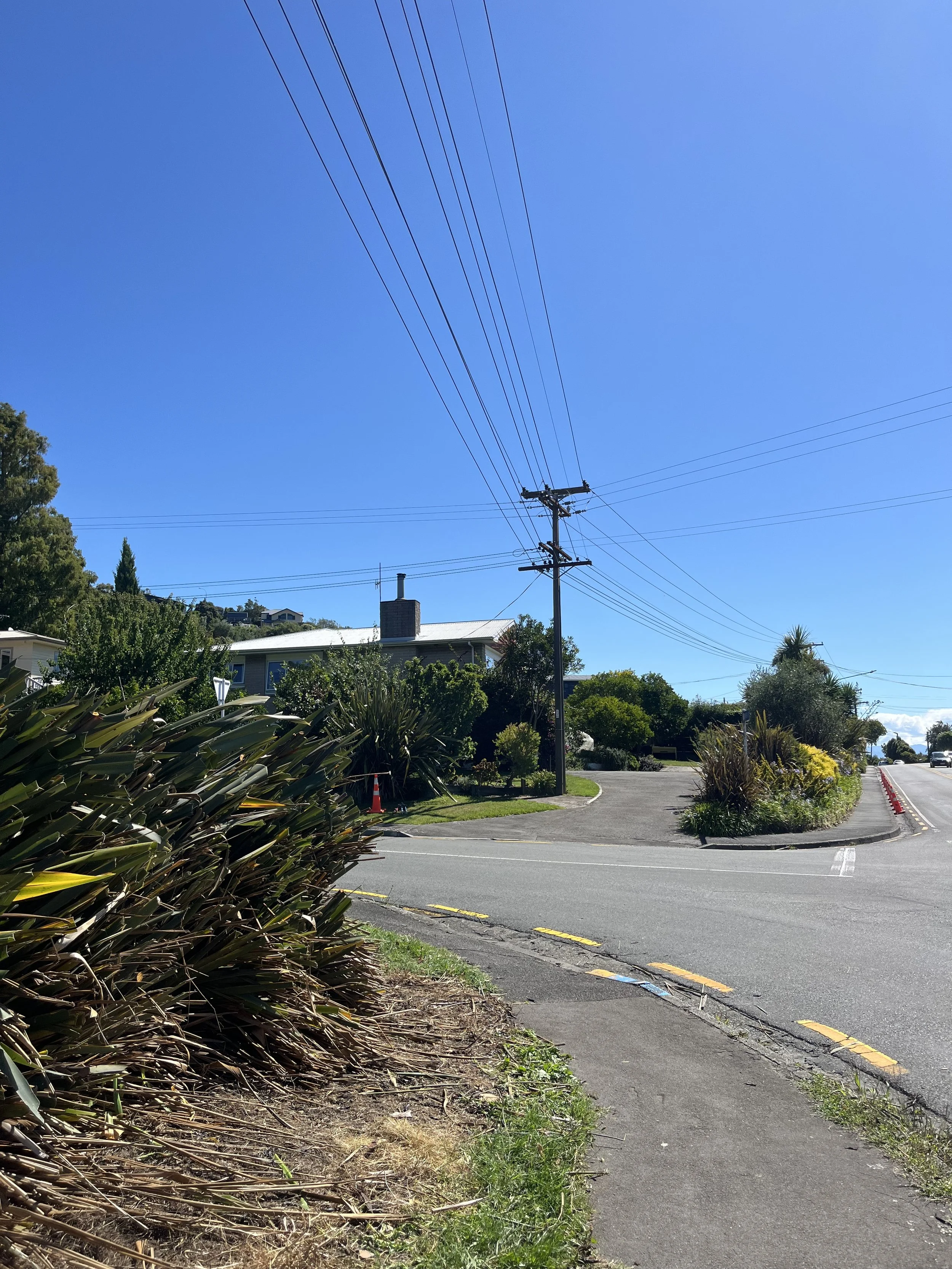 Enner Glynn Flax Trimming garden maintenance  after photo