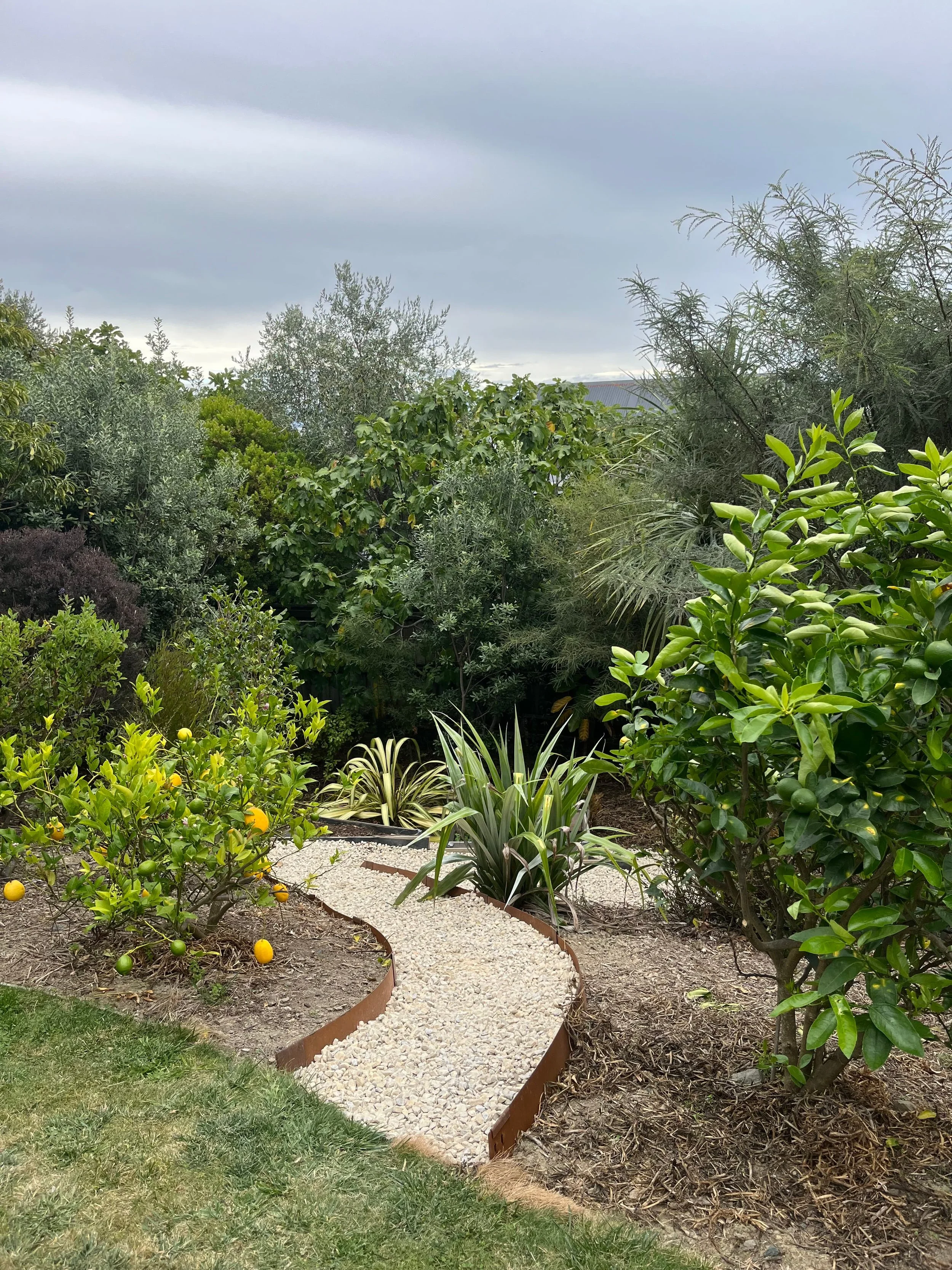 Garden with a gravel pathway winding through greenery and citrus trees, under a cloudy sky.