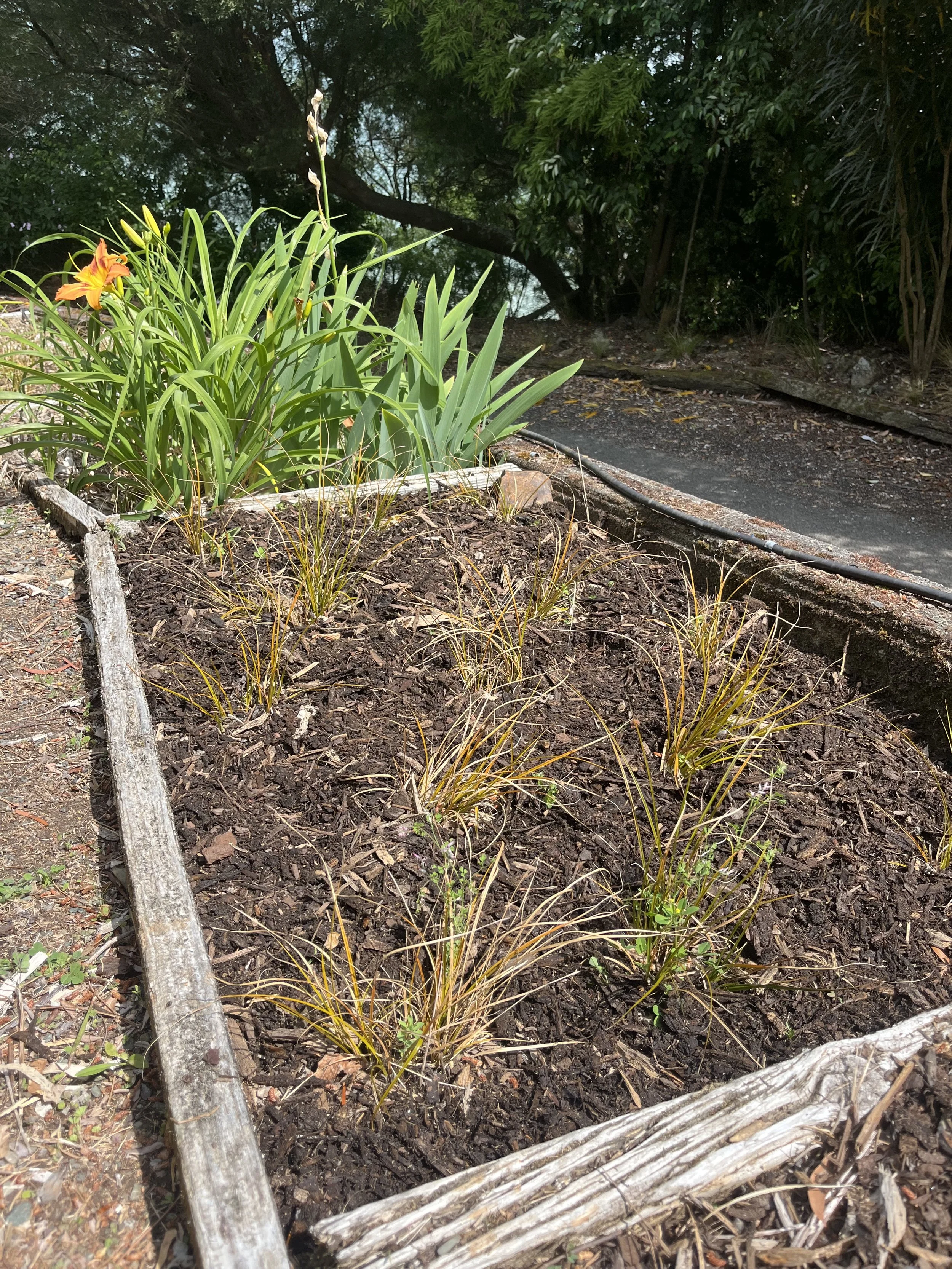 Mulch & Top Soil Application