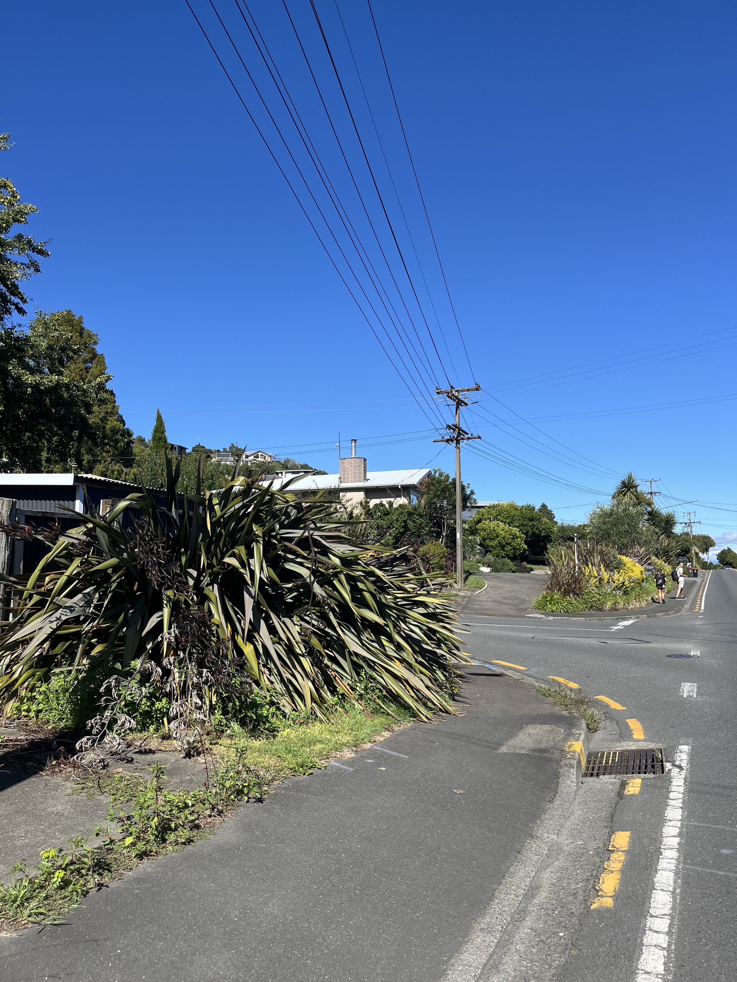Enner Glynn Flax Trimming garden maintenance 