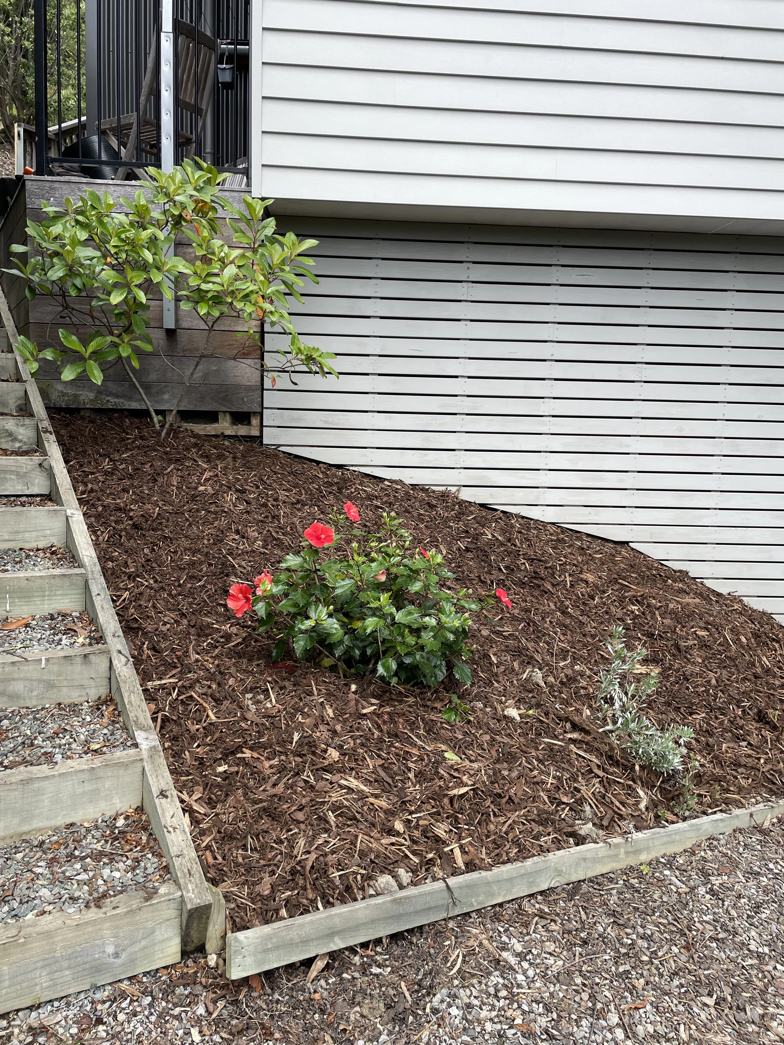Atawhai Mulch Application & Plans Installation .jpg