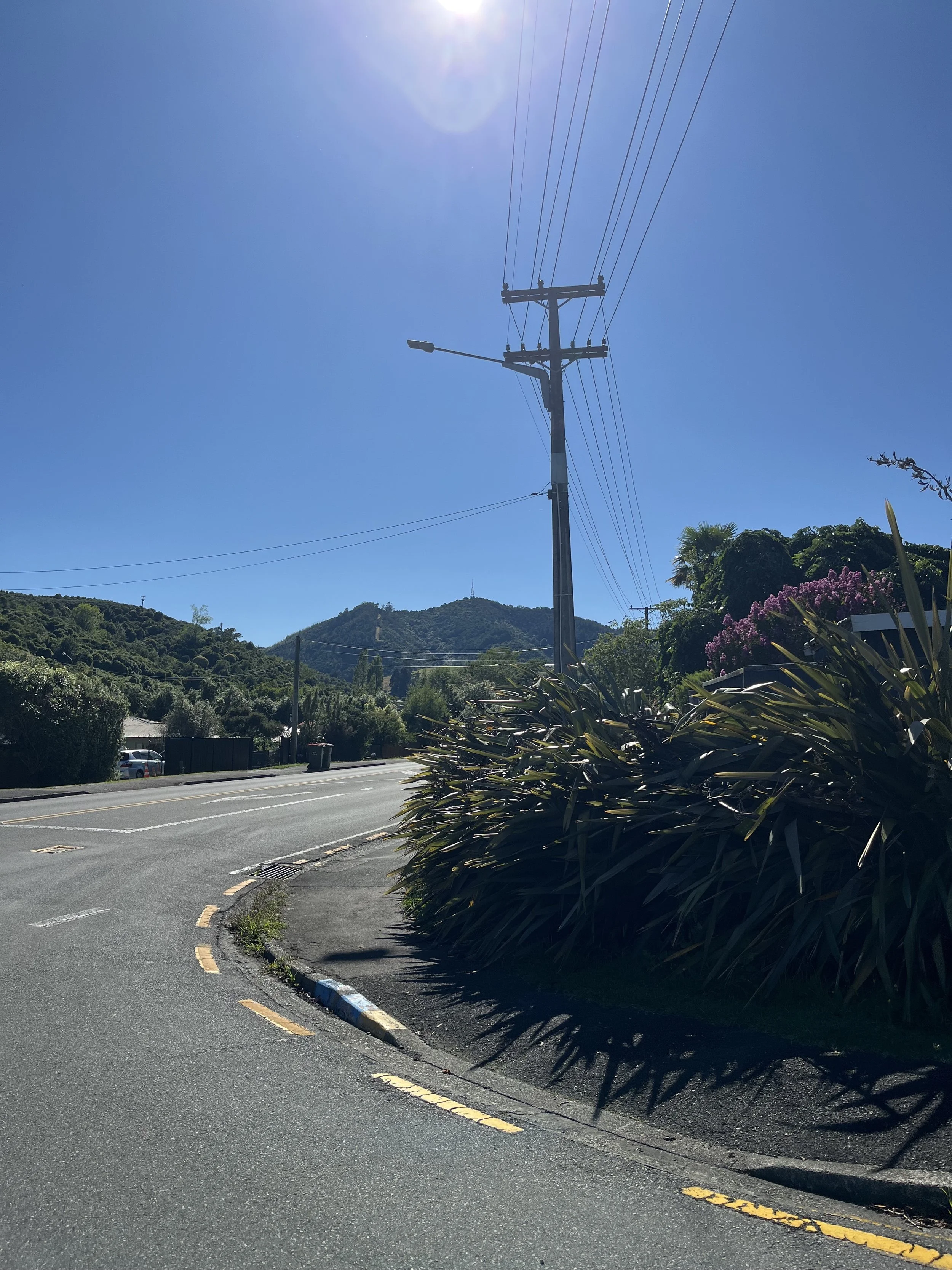Enner Glynn Flax Trimming garden maintenance 