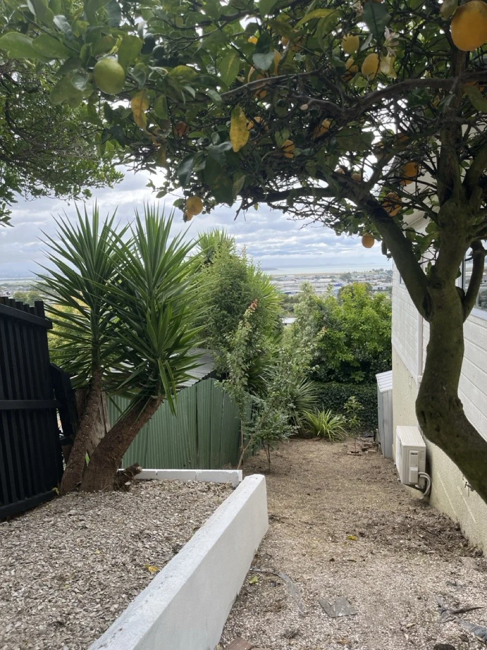 Overgrown garden in Nelson, after photo 2