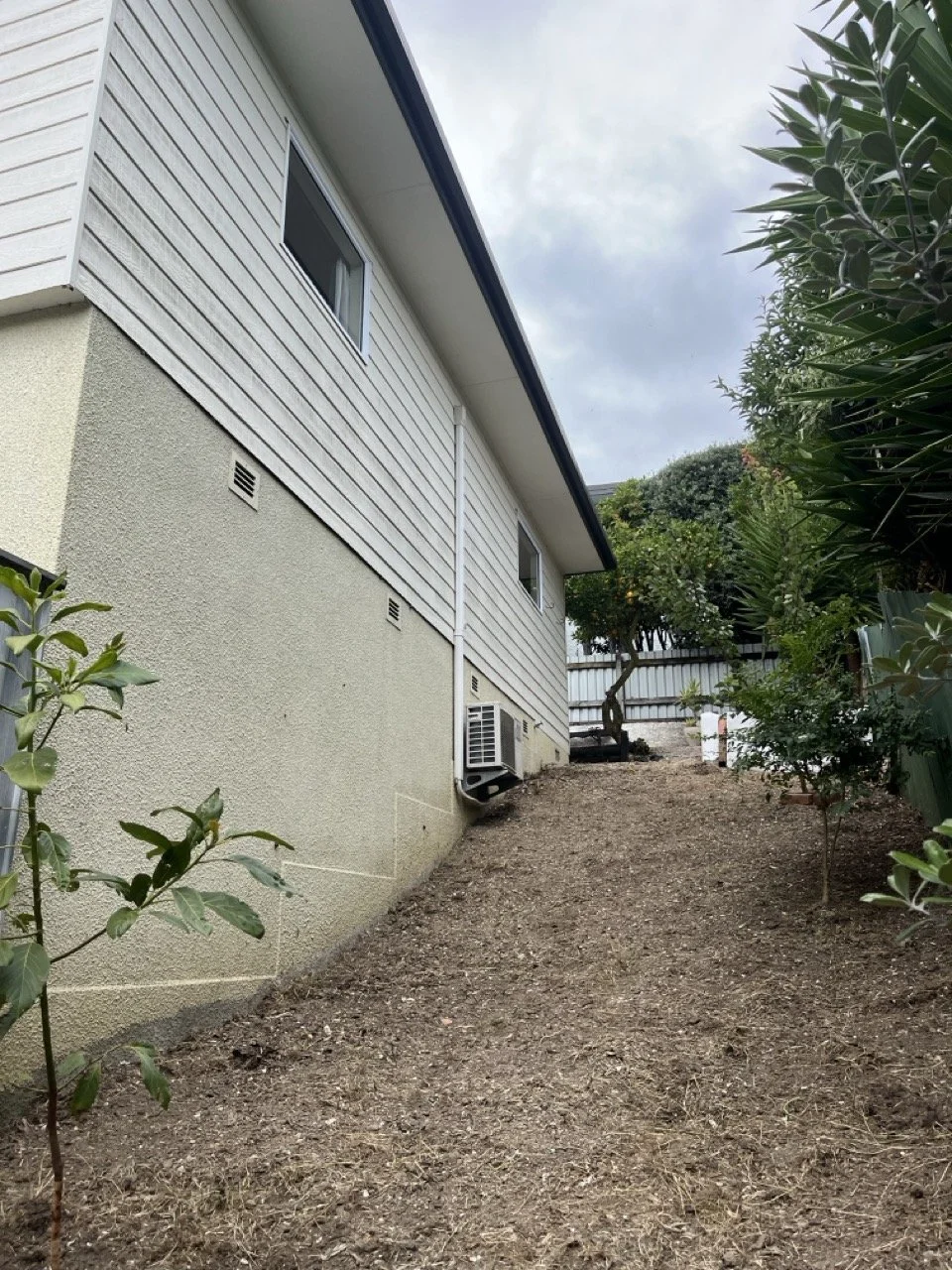 Overgrown garden in Nelson, after photo 1