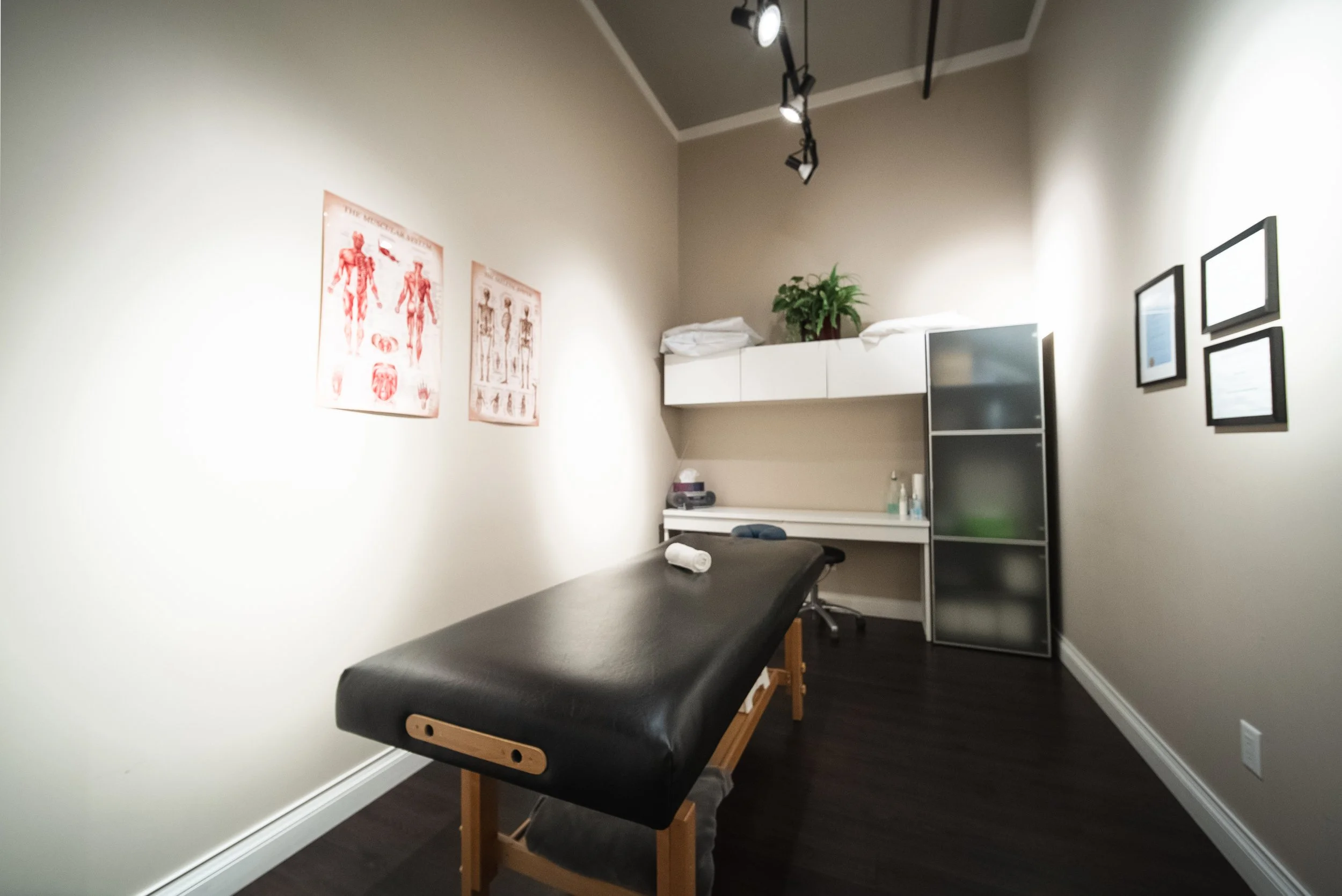 Therapy room with massage table, medical charts, and framed pictures.