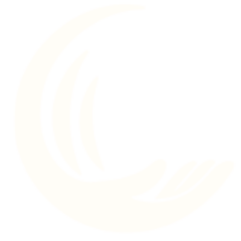  THE HEALTH COLLECTIVE