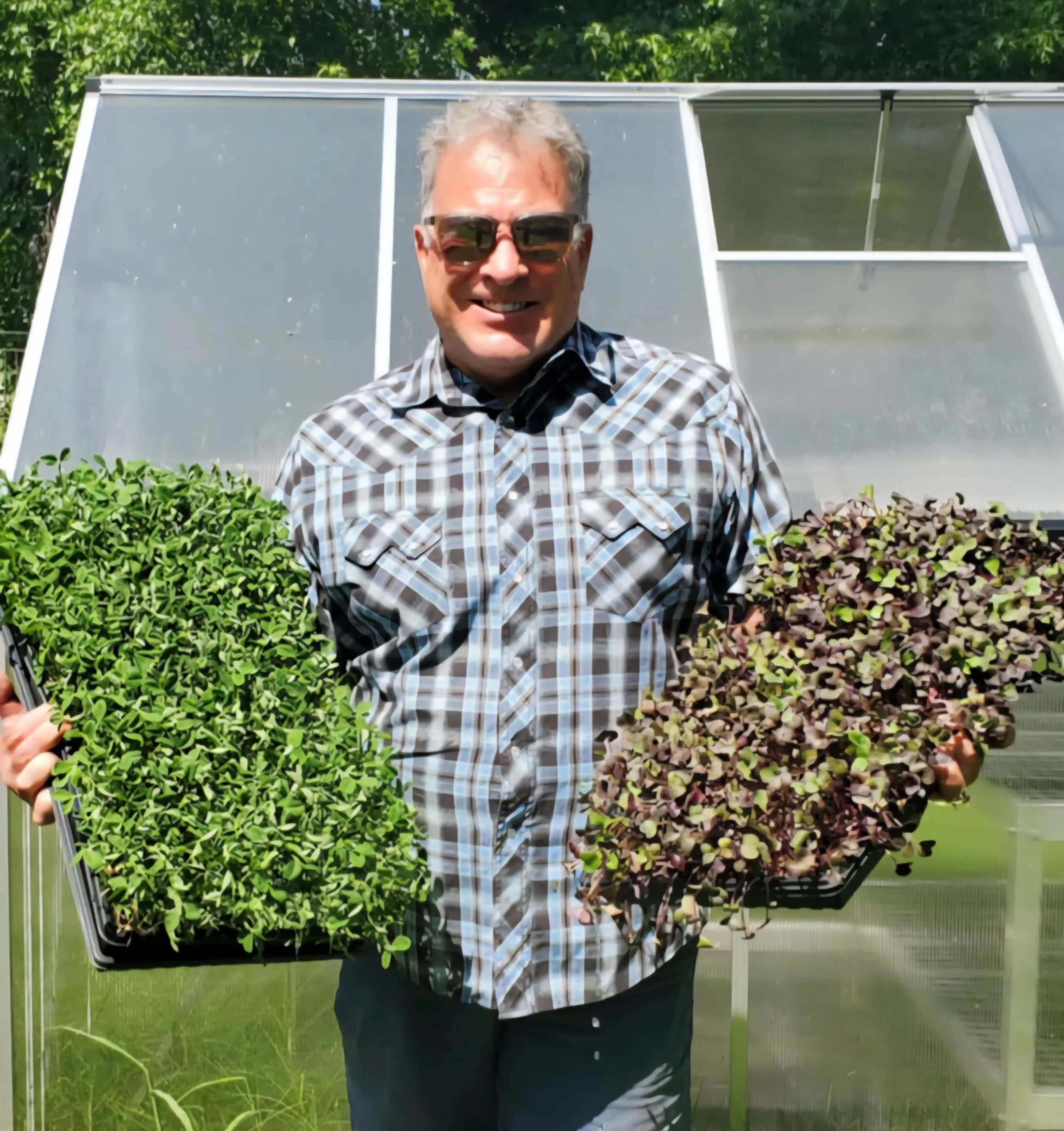 A man wearing sunglasses and a checkered shirt standing outdoors in front of a metal frame with panels, smiling at the camera. There are green trees and grass in the background, and the man is positioned behind a tray of leafy plants.