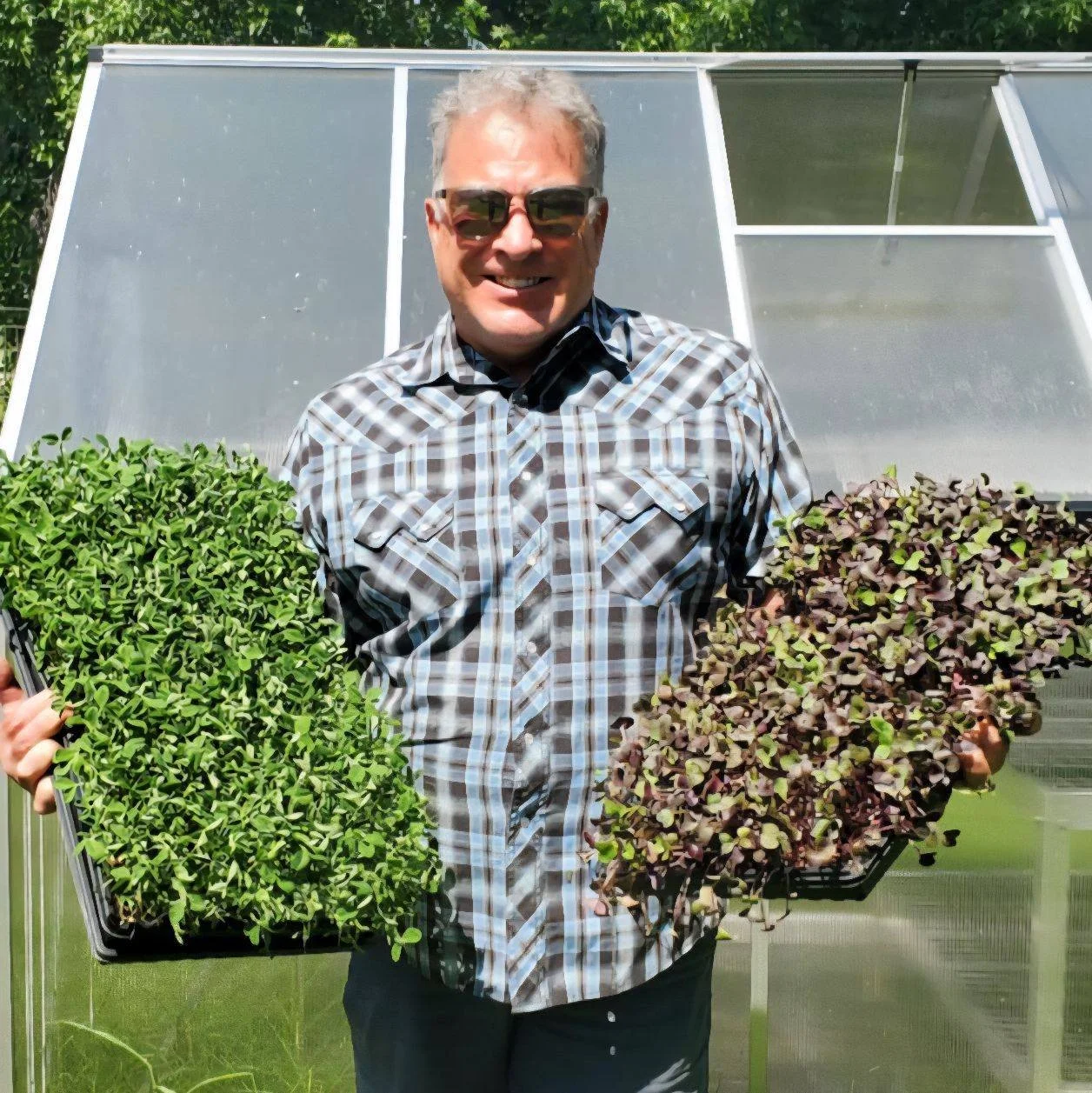 A smiling man wearing sunglasses and a plaid shirt holding two trays of young seedlings in front of a greenhouse.
