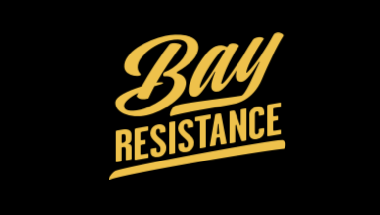 Bay Resistance Accompanier Network: Accompanier Training 