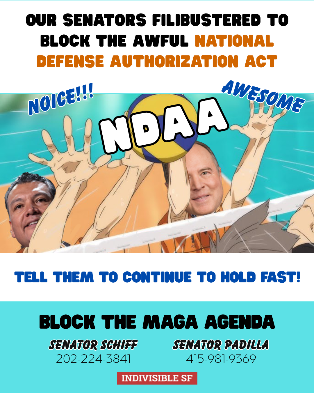 Understanding the NDAA Issue