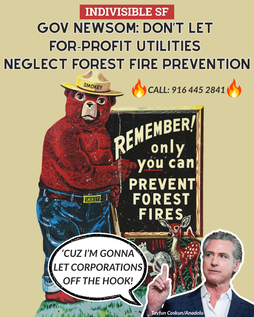 Newsom: Make For-profit Utilities Prevent Forest Fires