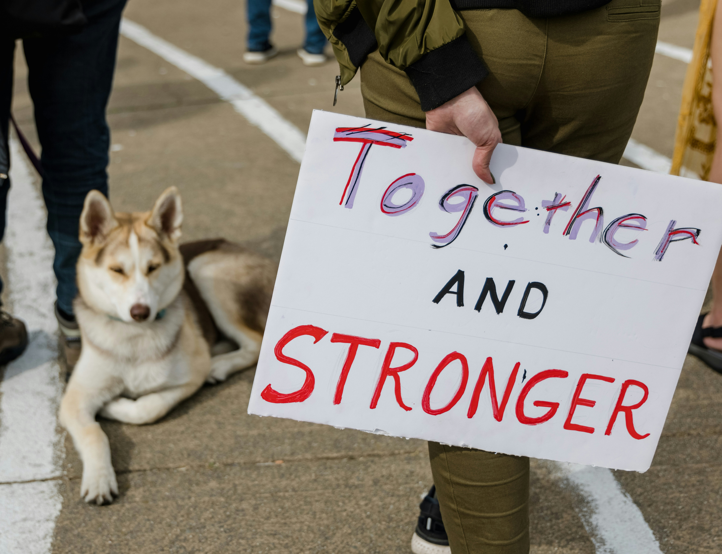 Together and Stronger. Photo by Jason Leung on Unsplash