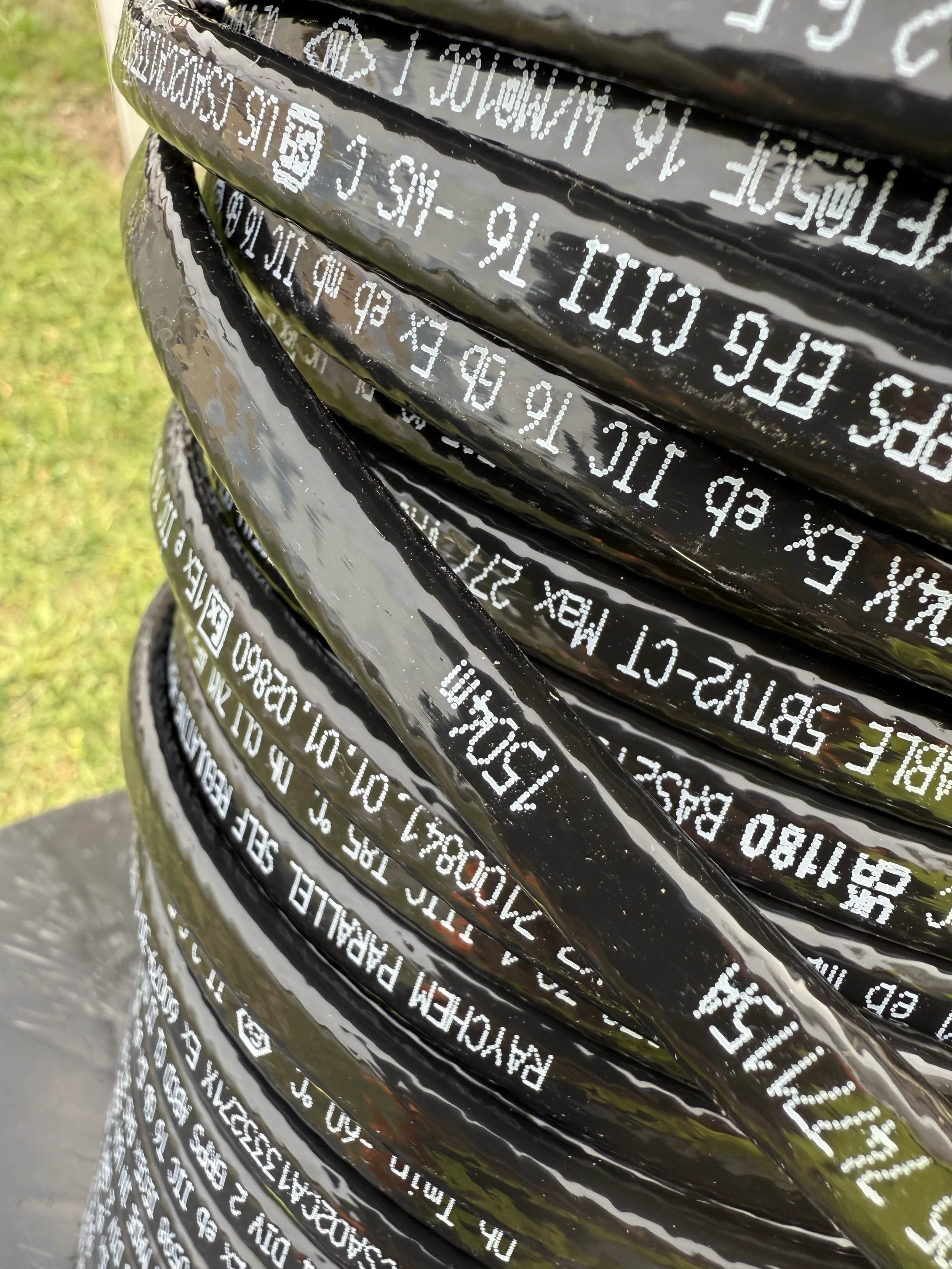 Photo Nov 18 2025, 11 56 49 AM.jpg