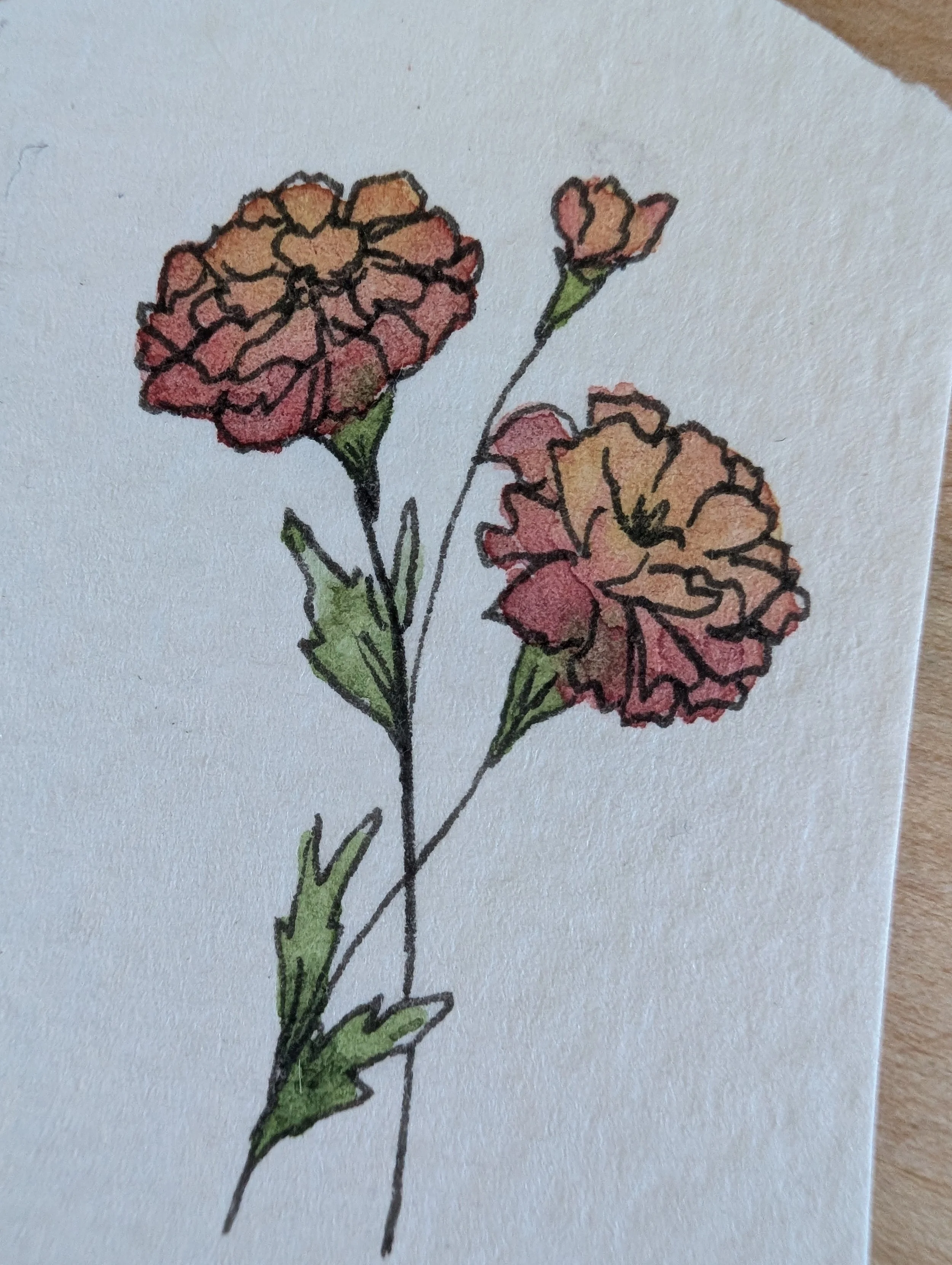 detail painting marigold birth flower painting october.jpg
