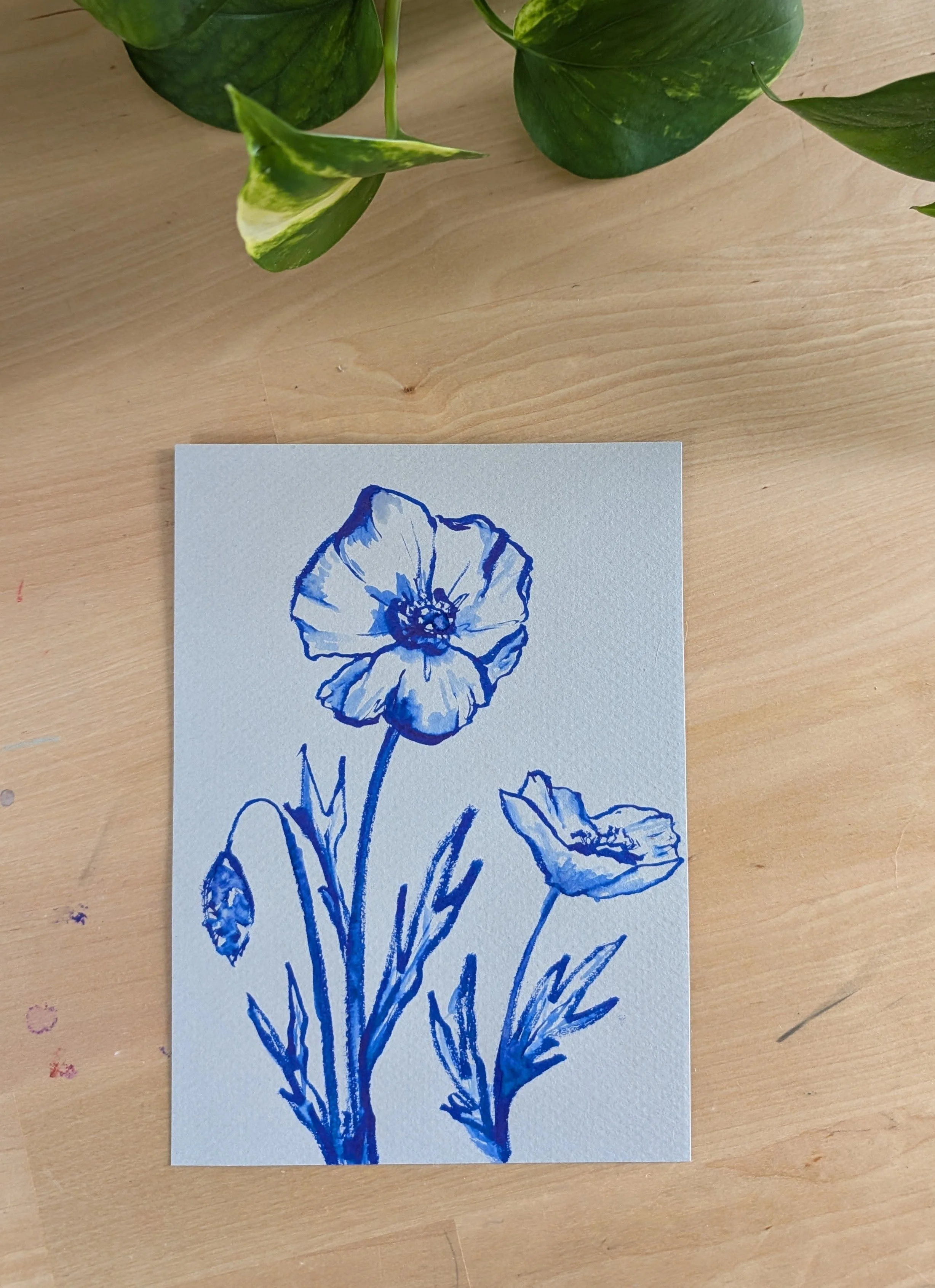 brush pen poppy flower drawing and painting ink line art poppies august birth flower colorado artist.jpg