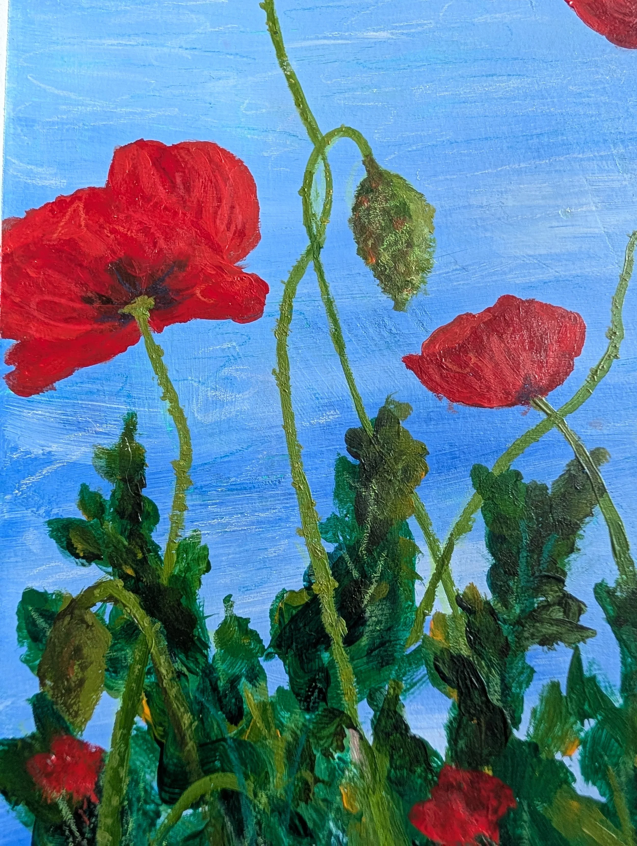 close up blue skies poppy flower garden floral painting art acrylic mixed media art.jpg