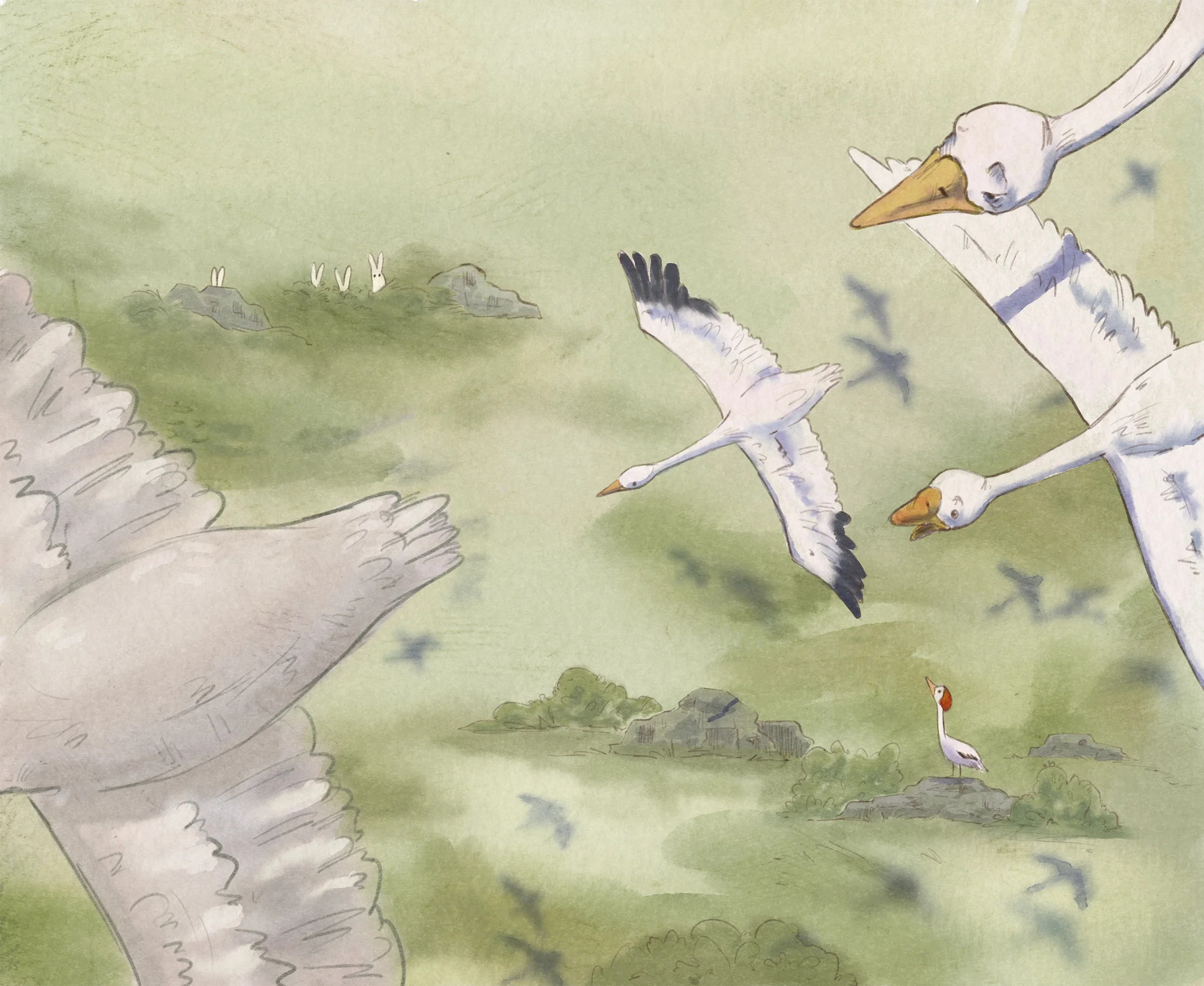 The_Goose_Spreads_-_NEW_4.webp