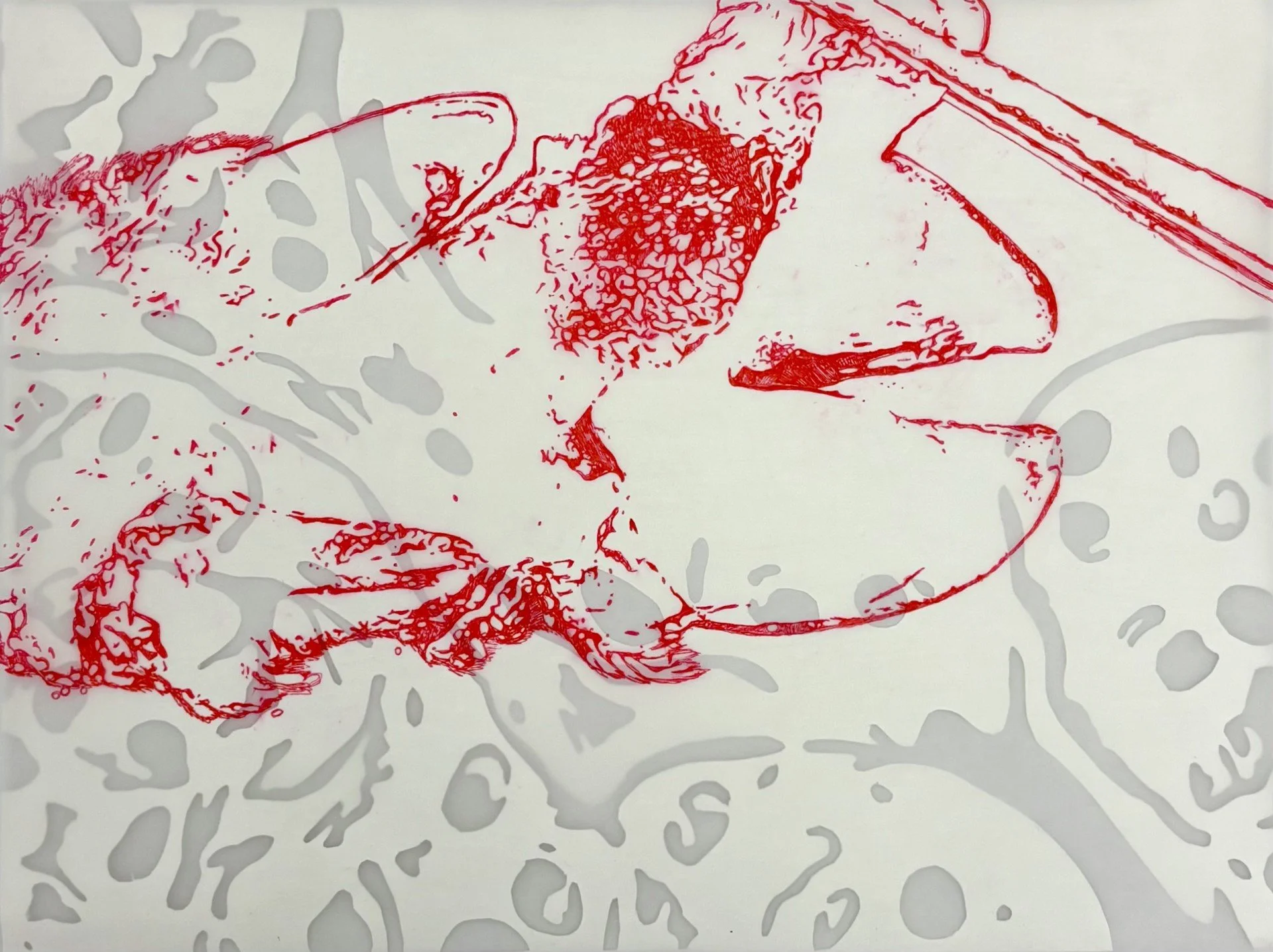 Peeling Swine
11” x 14”
Paper, Vellum, Ink