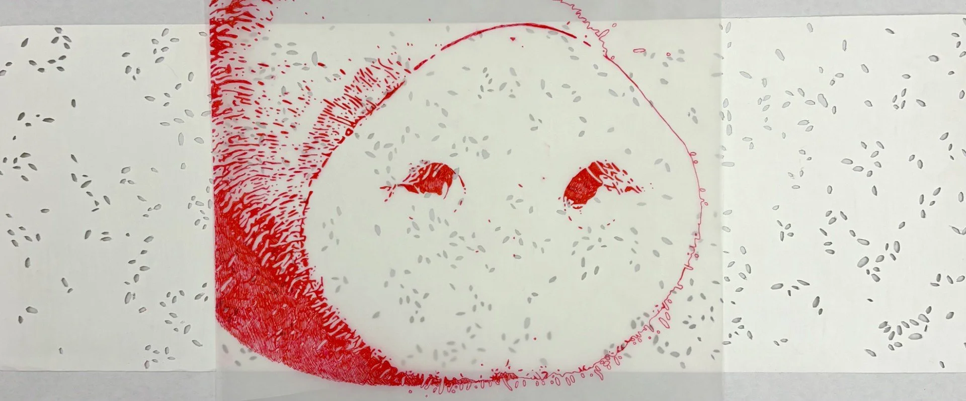 Rooting
9 ½ ” x 21”
Paper, Vellum, Ink