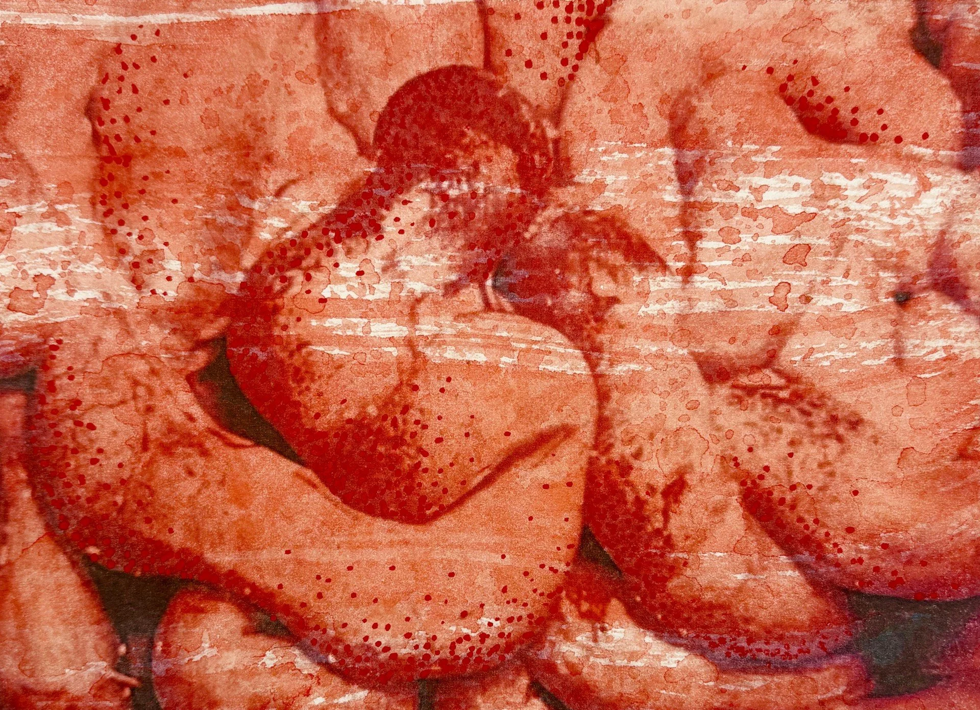 Slide series
4"x6"
Mixed Medium 