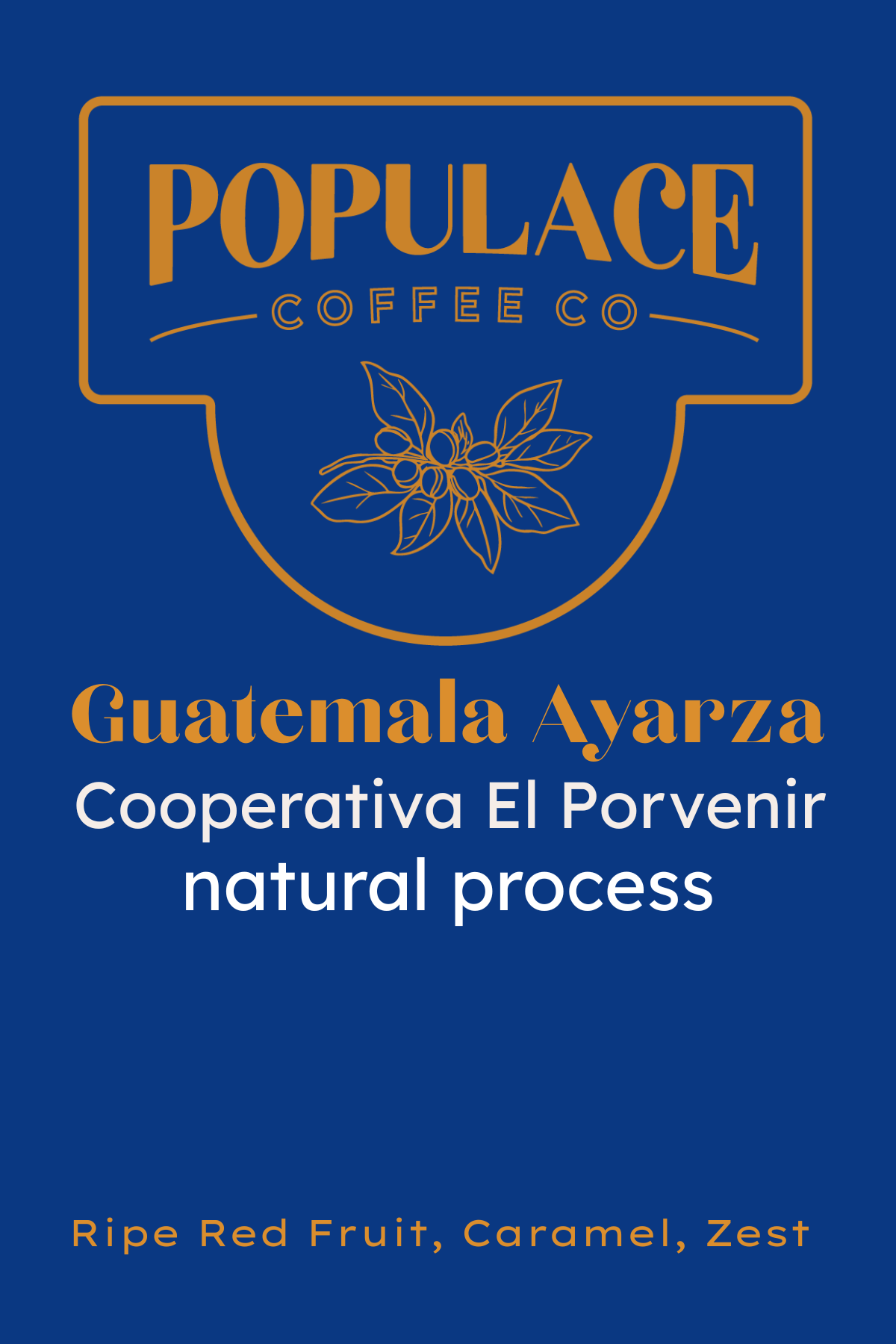 Guatemala Ayarza.png