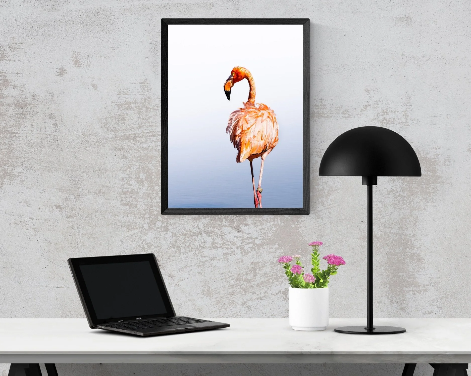 Flamingo-Walking-SmallRoom.jpg