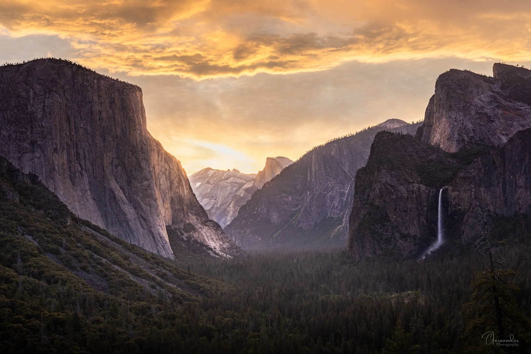 GoldenSunriseYosemite-Small.jpg