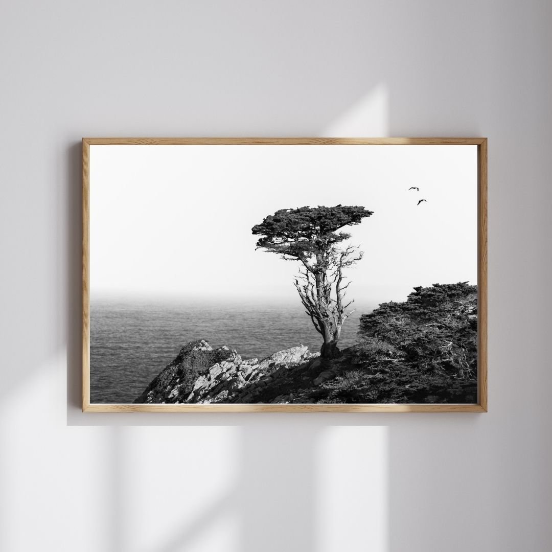 Monterey-Cypress-Frame.jpg