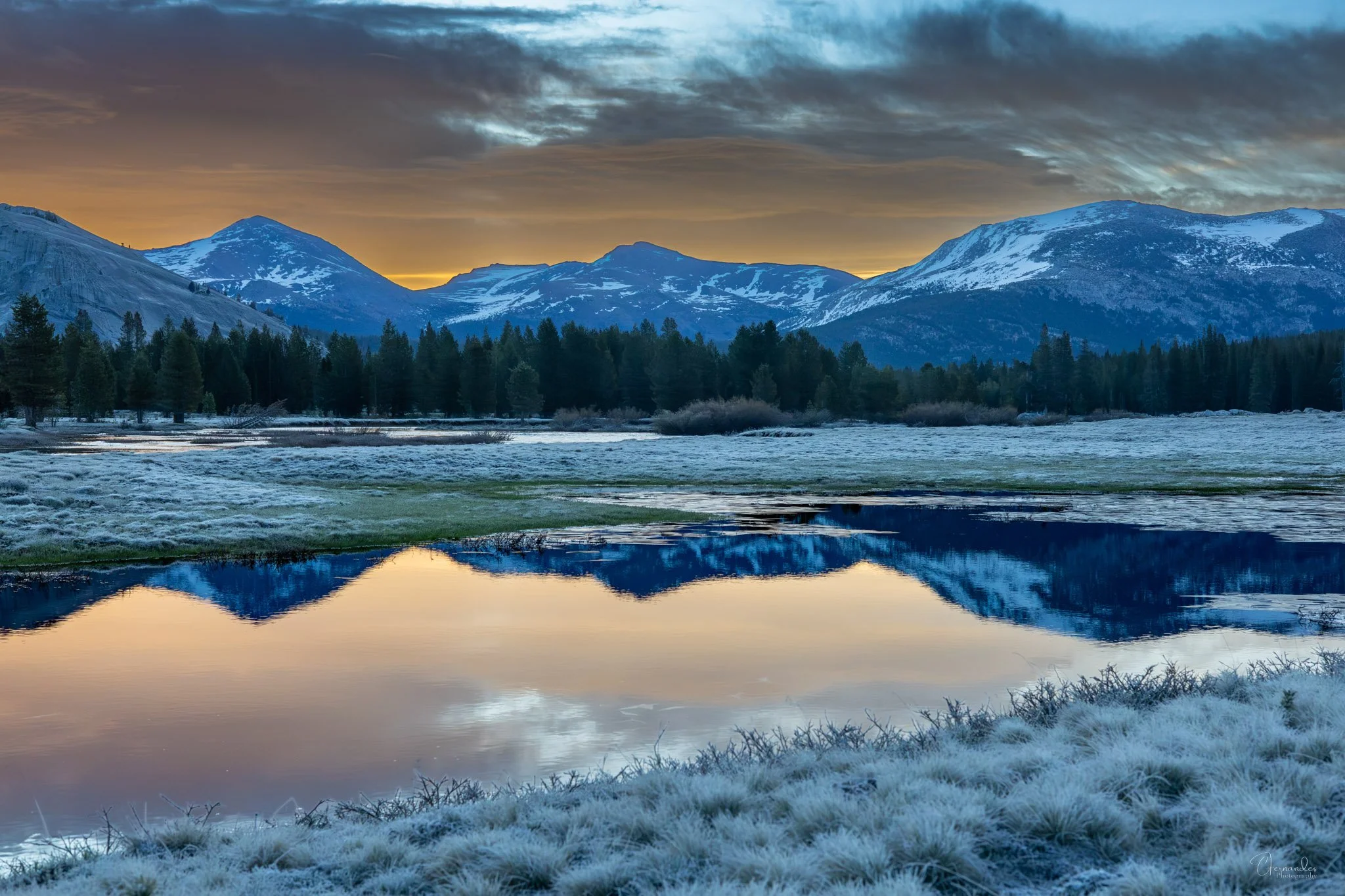 Wild Places