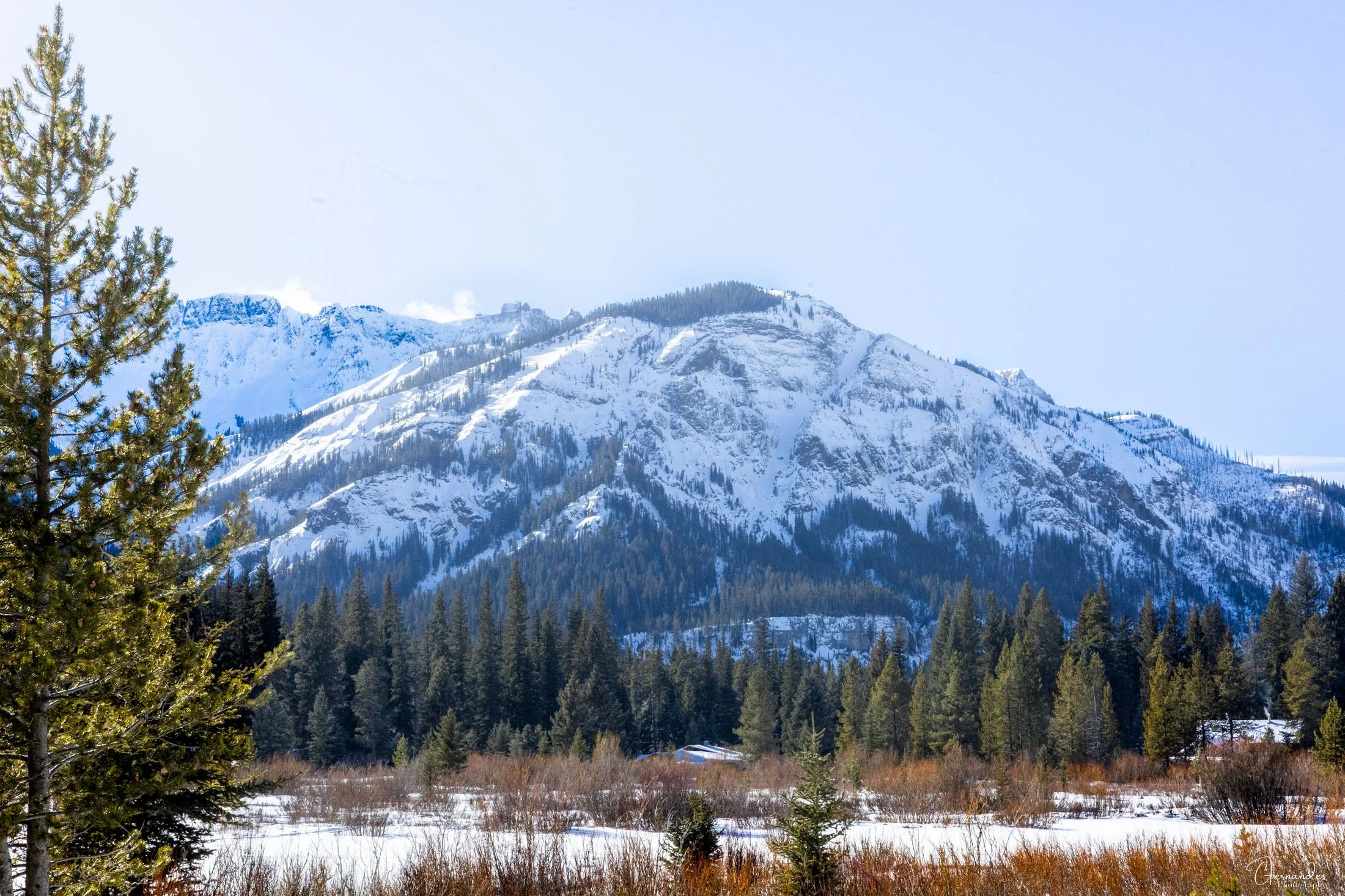 Landscape view of a mountain peak in winter near Yellowstone National Park
