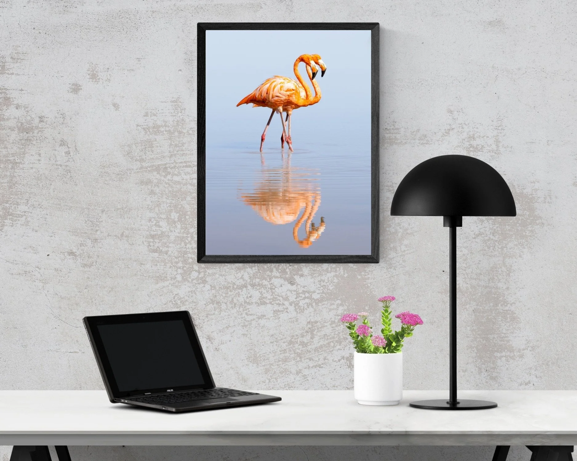 Flamingo-Pair-SmallRoom.jpg
