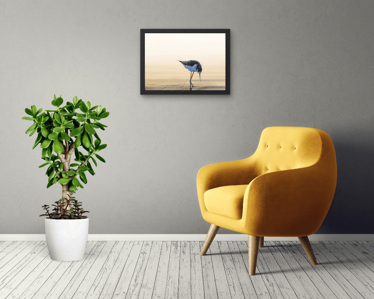 BlackNecked-3x2-LivingRoomLandscape.jpg