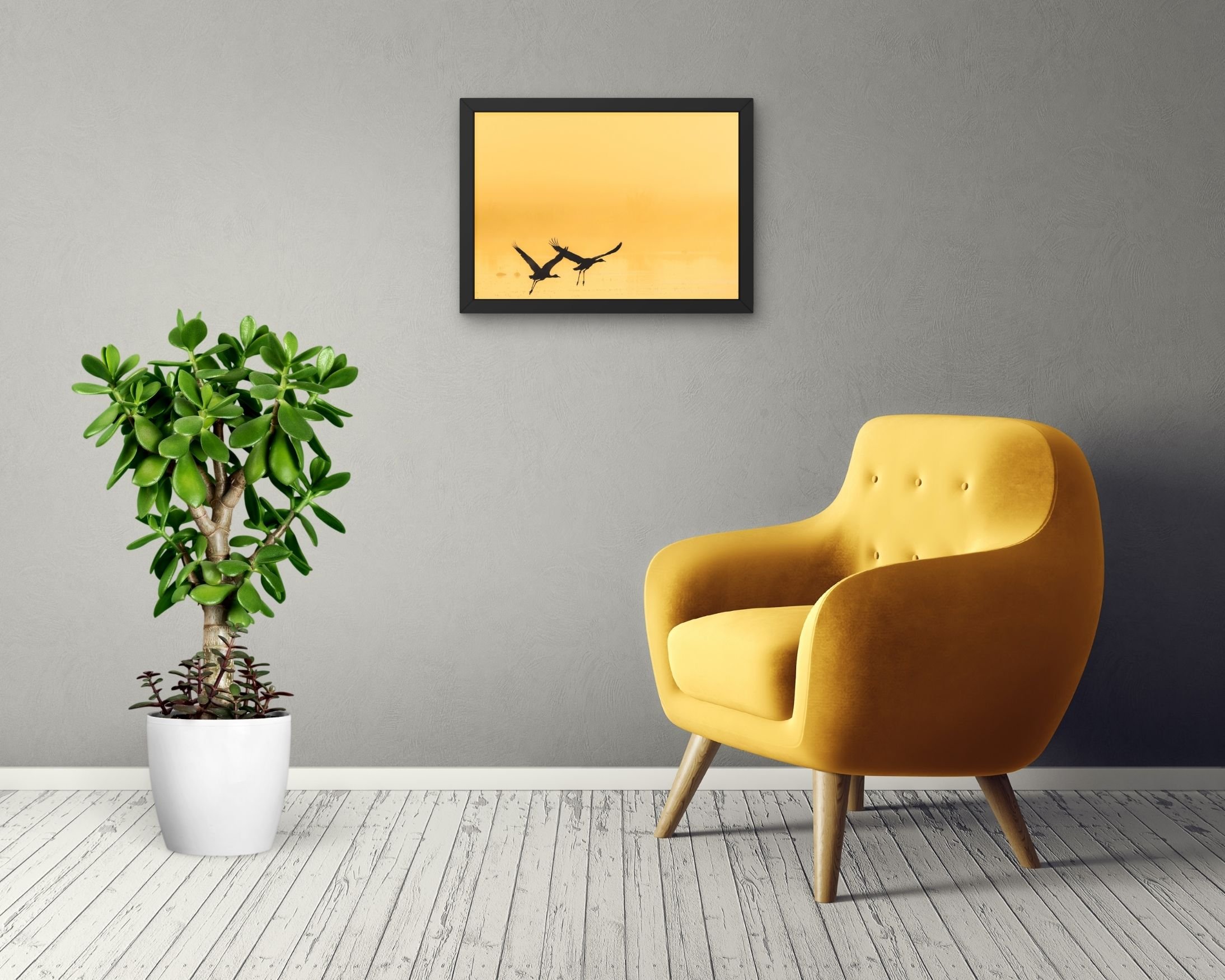 Cranes-sunrise-liftoff-LivingRoom.jpg